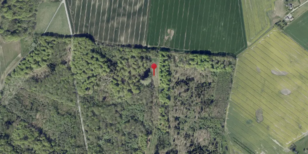 Historisk kort over Dallerupvej Trinbræt Historisk kort over Dallerupvej Trinbræt