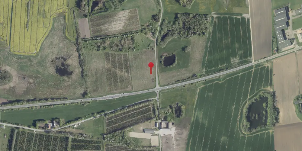 Historisk kort over Toftumvejen Trinbræt Historisk kort over Toftumvejen Trinbræt