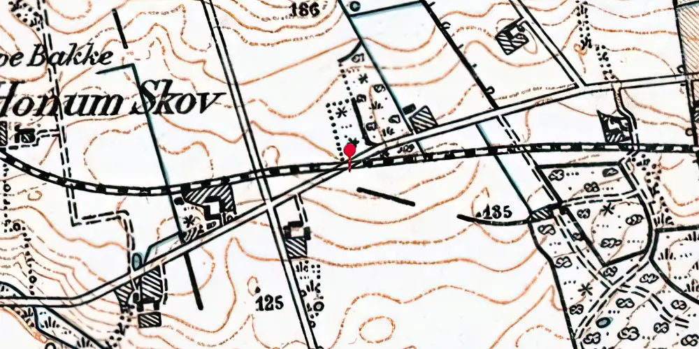 Historisk kort over Honum Skov Trinbræt Historisk kort over Honum Skov Trinbræt
