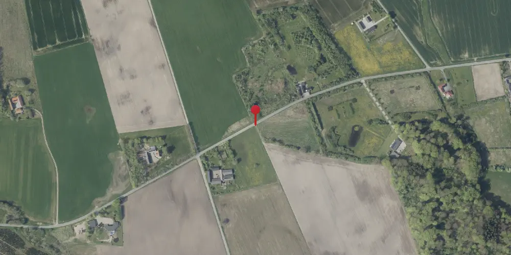 Historisk kort over Honum Skov Trinbræt Historisk kort over Honum Skov Trinbræt