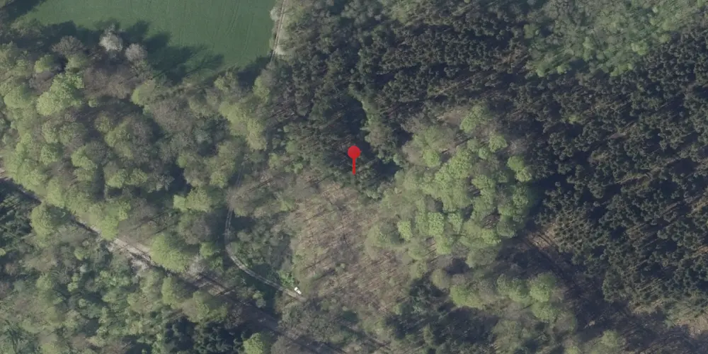 Historisk kort over Rask Skov Trinbræt