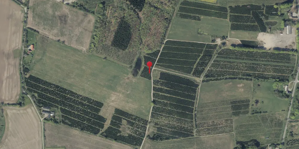 Historisk kort over Skamlingsbanke Holdeplads med sidespor Historisk kort over Skamlingsbanke Holdeplads med sidespor