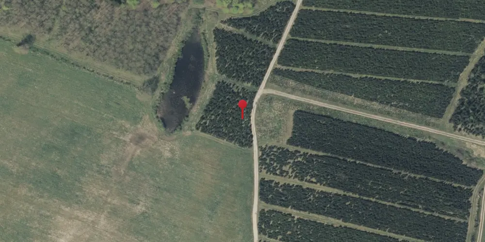 Historisk kort over Skamlingsbanke Holdeplads med sidespor Historisk kort over Skamlingsbanke Holdeplads med sidespor