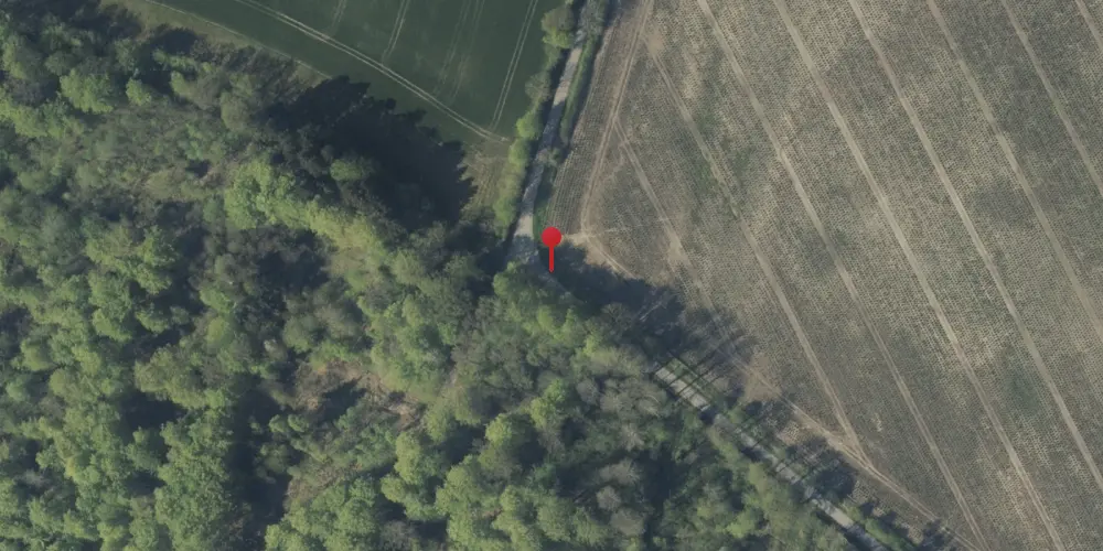 Historisk kort over Varmark Skov Trinbræt (uofficielt) Historisk kort over Varmark Skov Trinbræt (uofficielt)