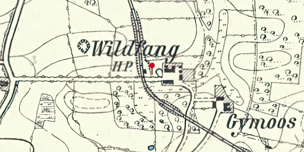 Historisk kort over Vildfang Trinbræt med Sidespor Historisk kort over Vildfang Trinbræt med Sidespor