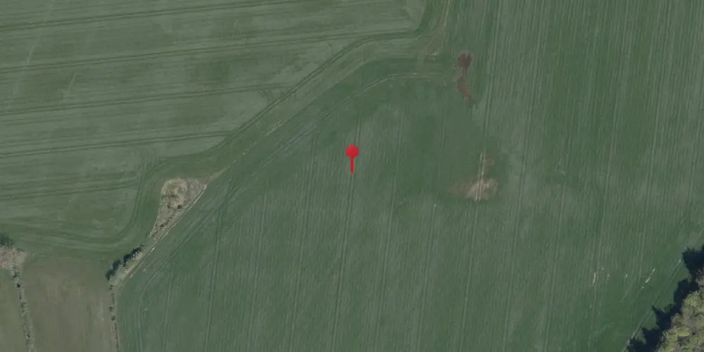 Historisk kort over Fjersted Trinbræt med Sidespor Historisk kort over Fjersted Trinbræt med Sidespor