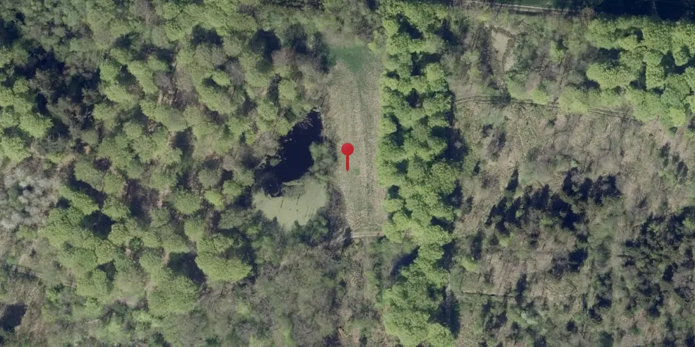 Historisk kort over Dallerup Skov Trinbræt [1936-1940]