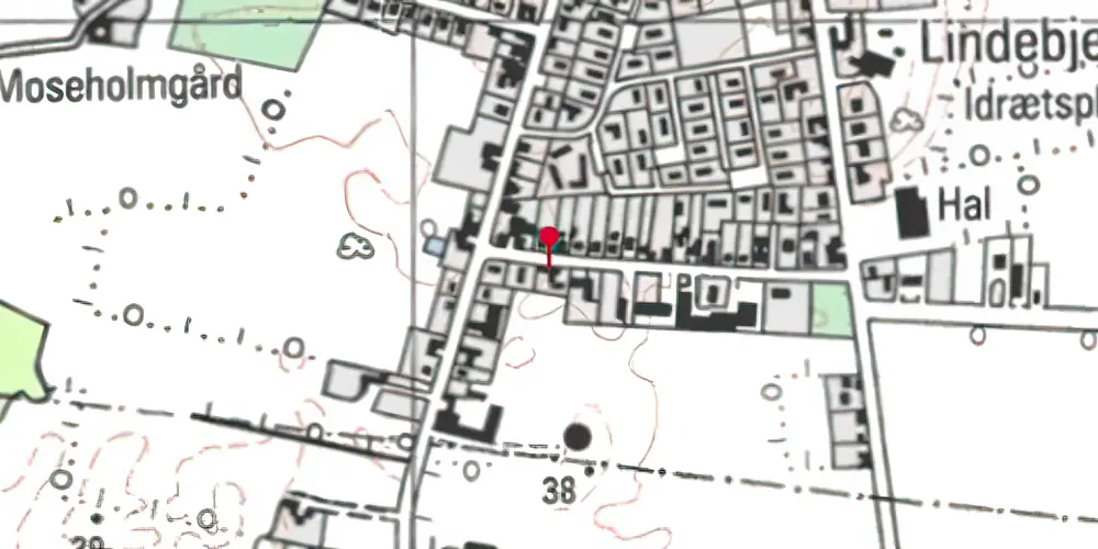 Historisk kort over Veflinge Station Historisk kort over Veflinge Station