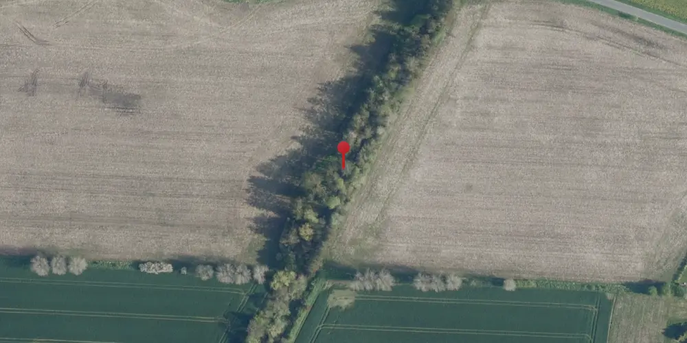 Historisk kort over Skibinge Trinbræt med Sidespor