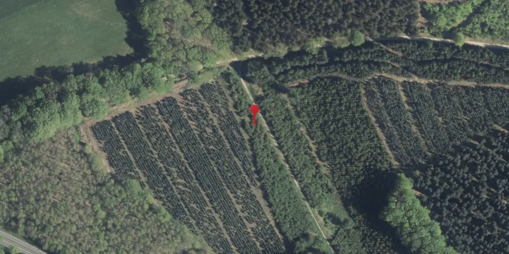 Historisk kort over Tulstrupvejen Trinbræt