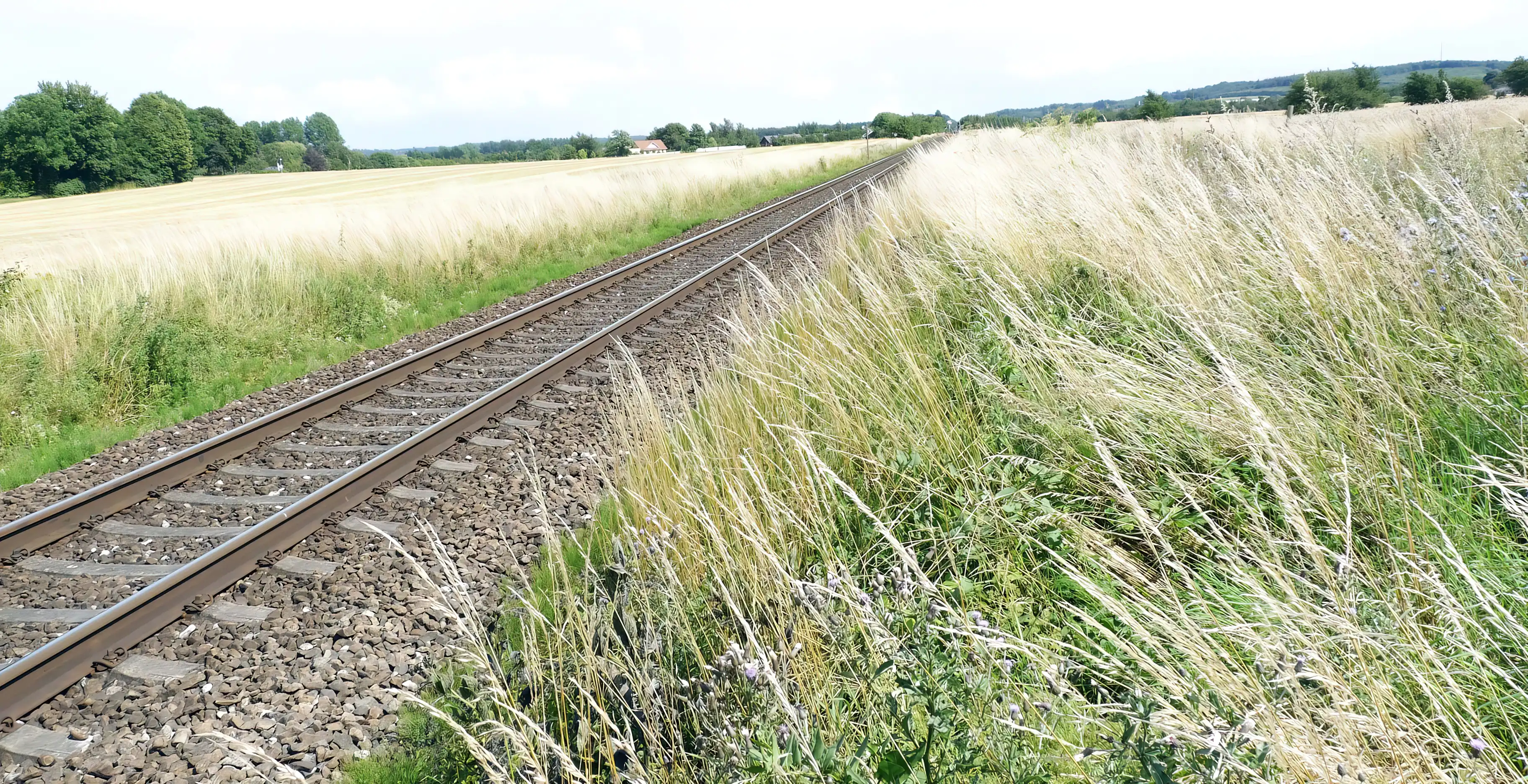 Billede af Viskinge Trinbræt - Trinbræt er nedrevet, men Viskinge Trinbræt har ligget her. Billede af Viskinge Trinbræt - Trinbræt er nedrevet, men Viskinge Trinbræt har ligget her.