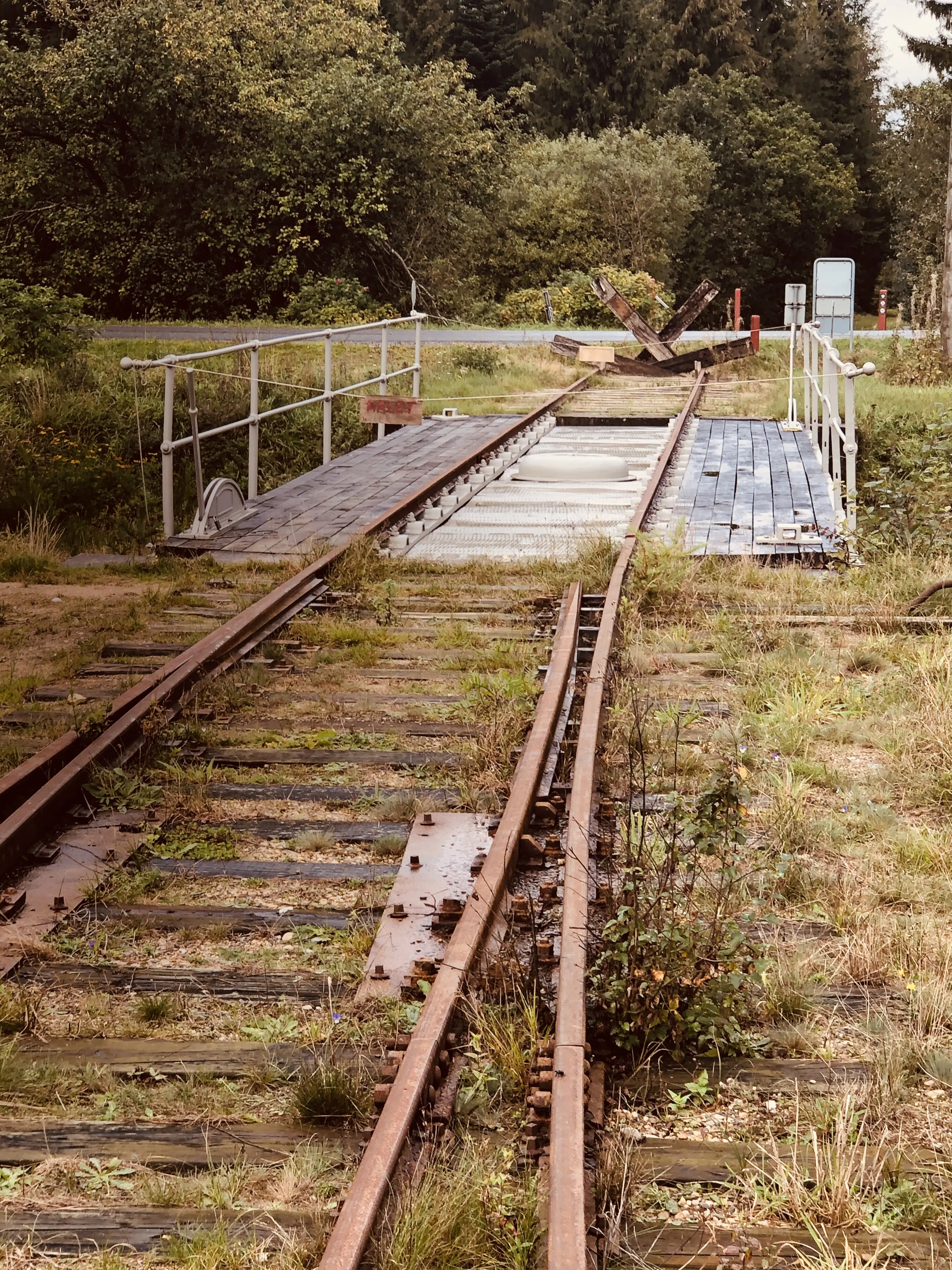 Billede af Vrads Station.
