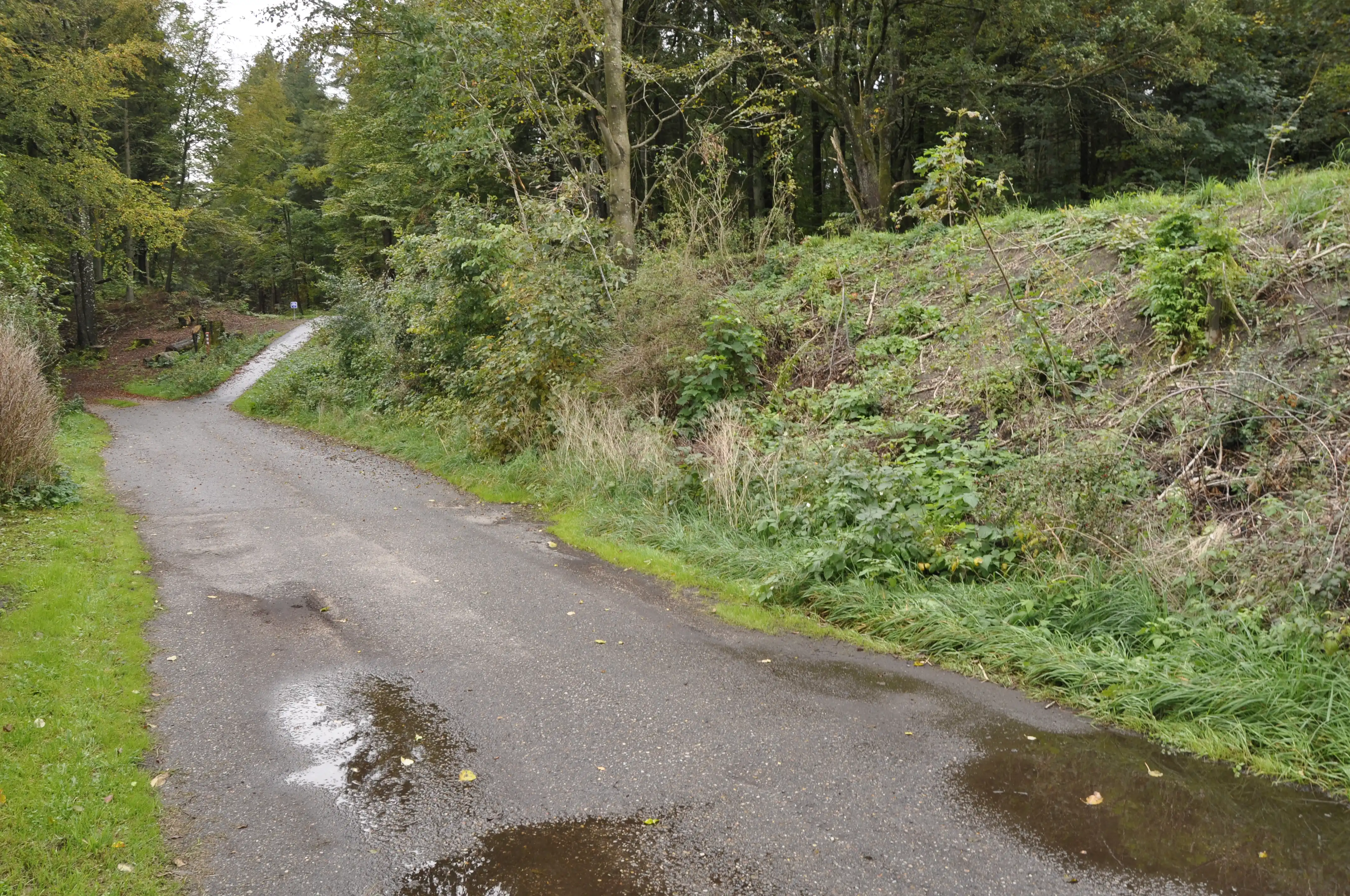 Billede af Ørnsø Trinbræt.