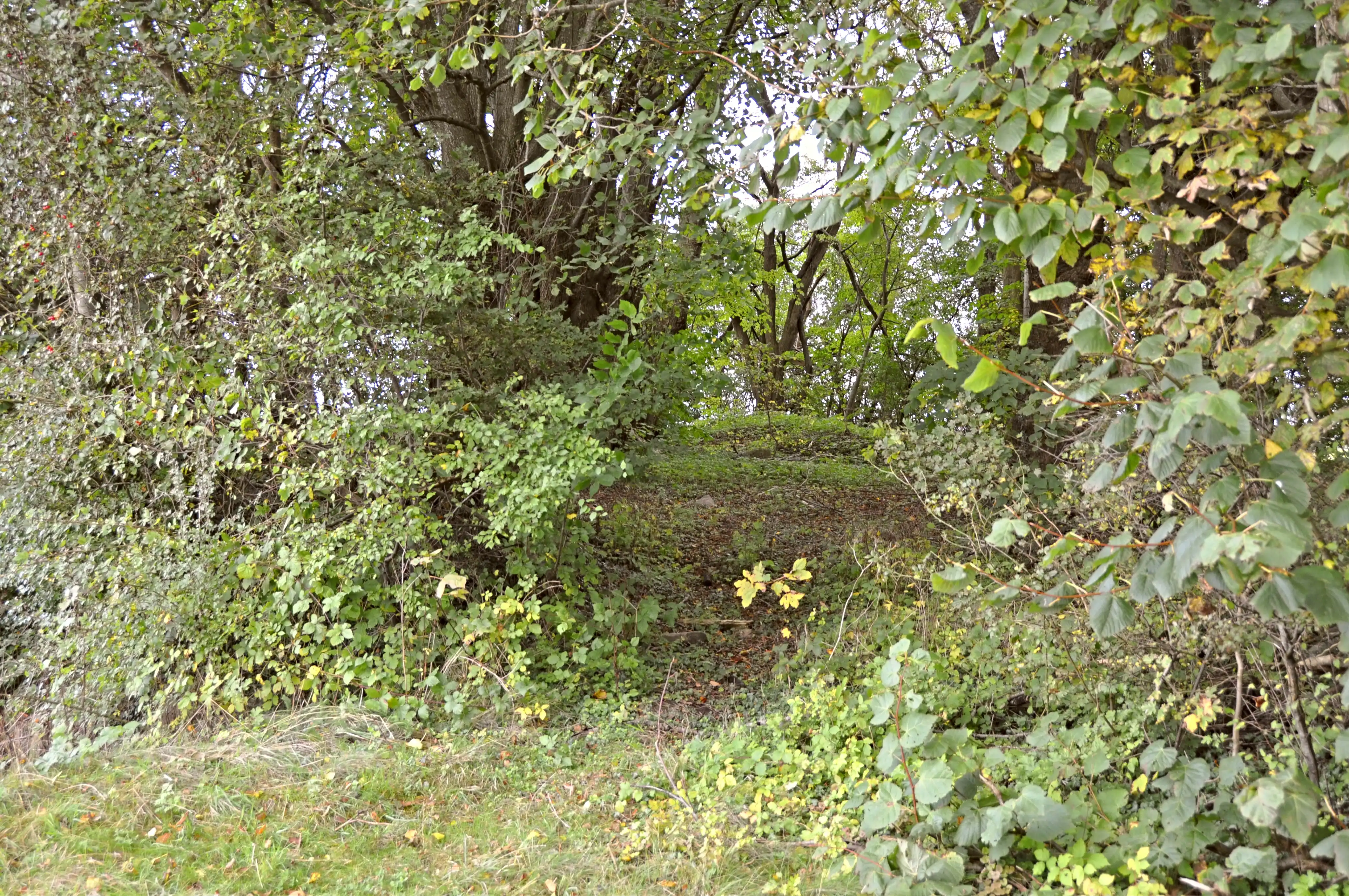 Billede af Kiding Station, som er nedrevet - dette er den oprindelige sti op til stationen. Billede af Kiding Station, som er nedrevet - dette er den oprindelige sti op til stationen.