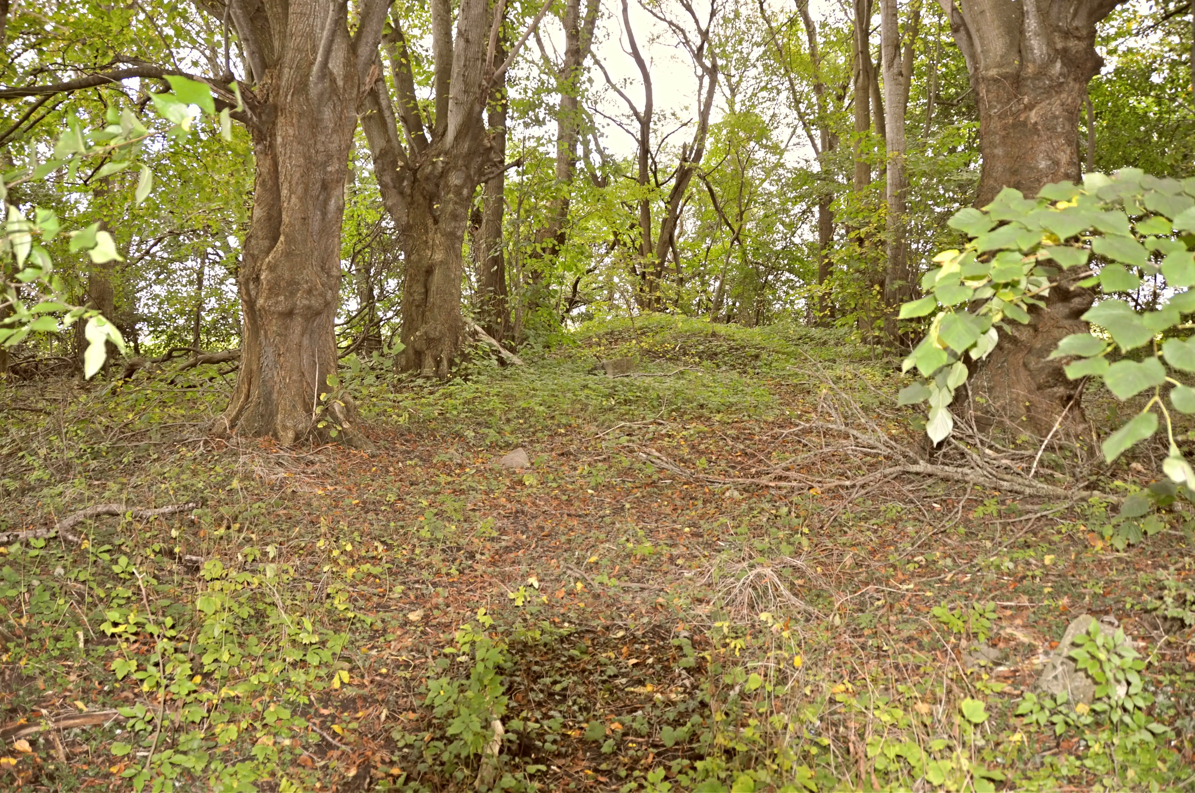 Billede af Kiding Station, som er nedrevet - dette er den oprindelige sti op til stationen. Billede af Kiding Station, som er nedrevet - dette er den oprindelige sti op til stationen.