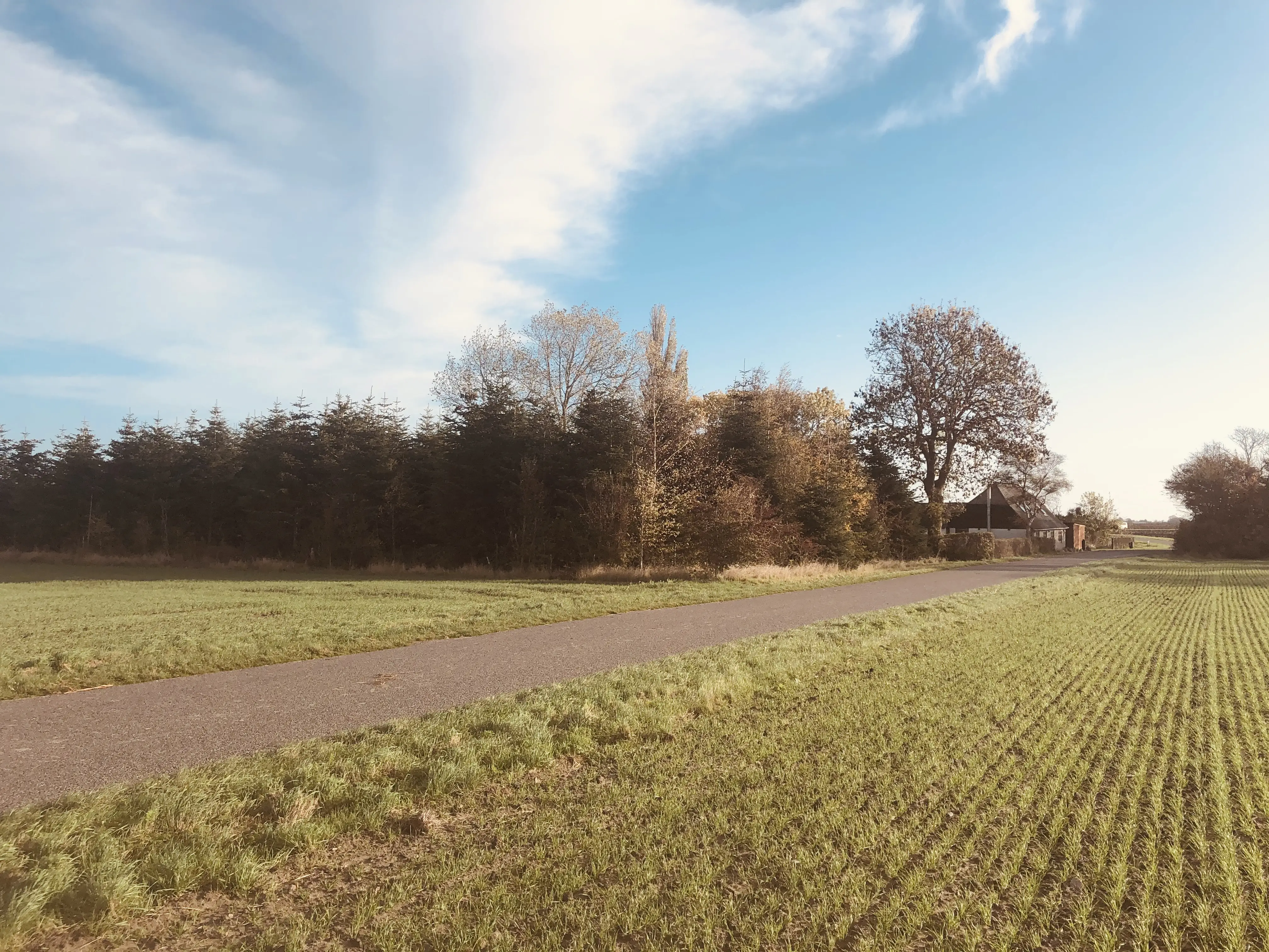 Billede af Hvidstensmark Trinbræt lå på denne side af det store træ Billede af Hvidstensmark Trinbræt lå på denne side af det store træ