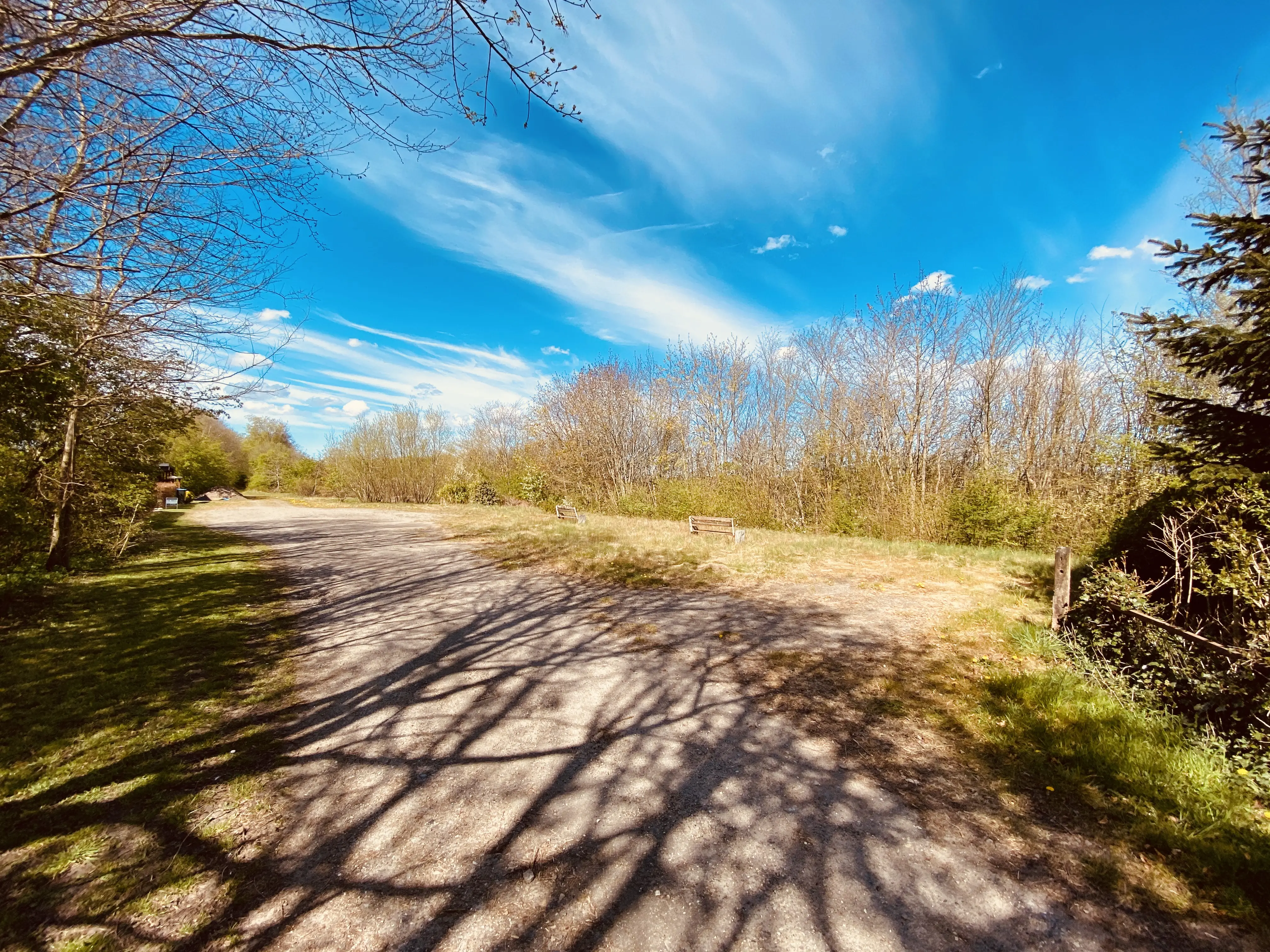 Billede af Jejsing Trinbræt med Sidespor, som er nedrevet, men den har ligget her. Billede af Jejsing Trinbræt med Sidespor, som er nedrevet, men den har ligget her.