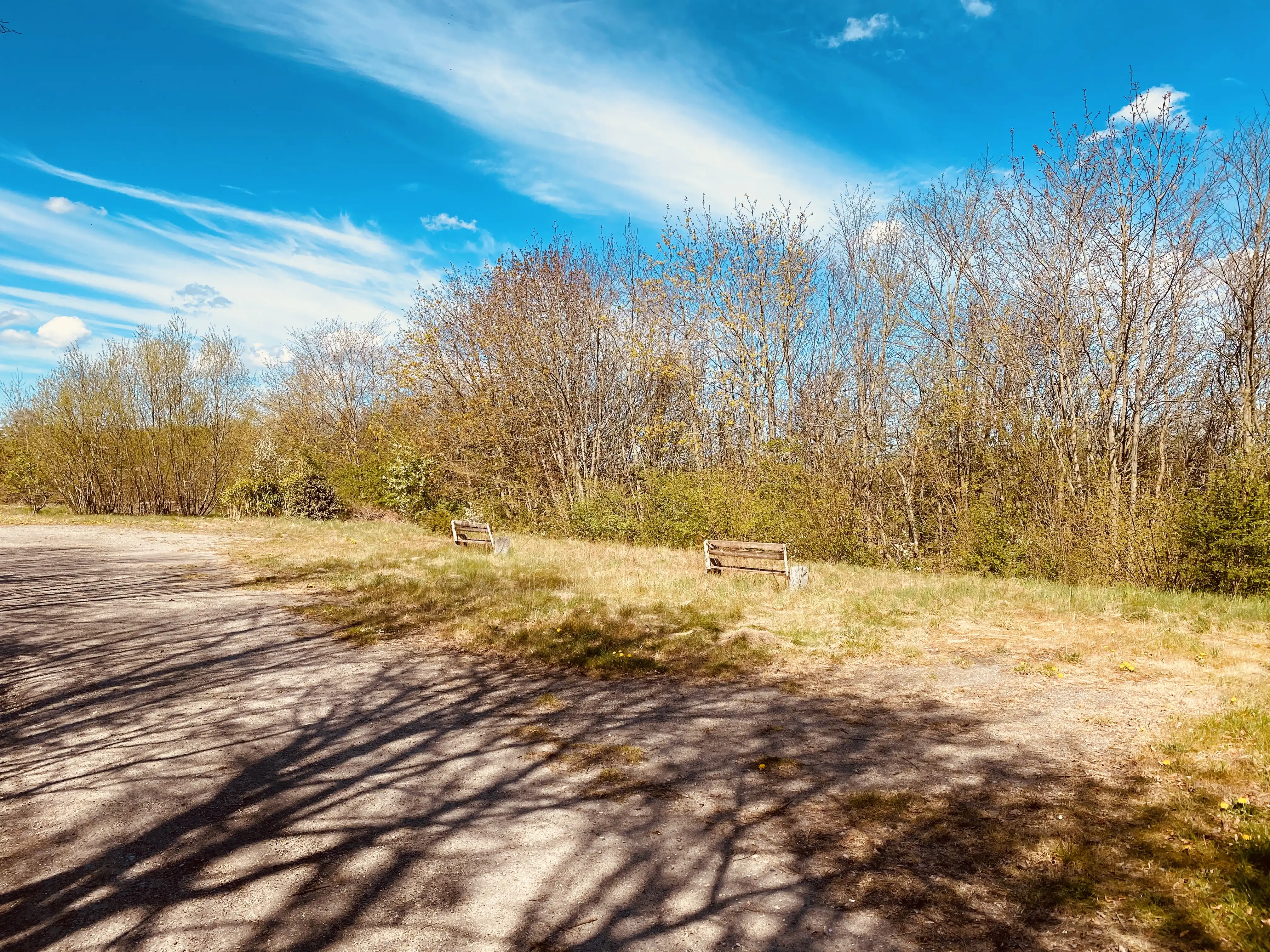 Billede af Jejsing Trinbræt med Sidespor, som er nedrevet, men den har ligget her. Billede af Jejsing Trinbræt med Sidespor, som er nedrevet, men den har ligget her.