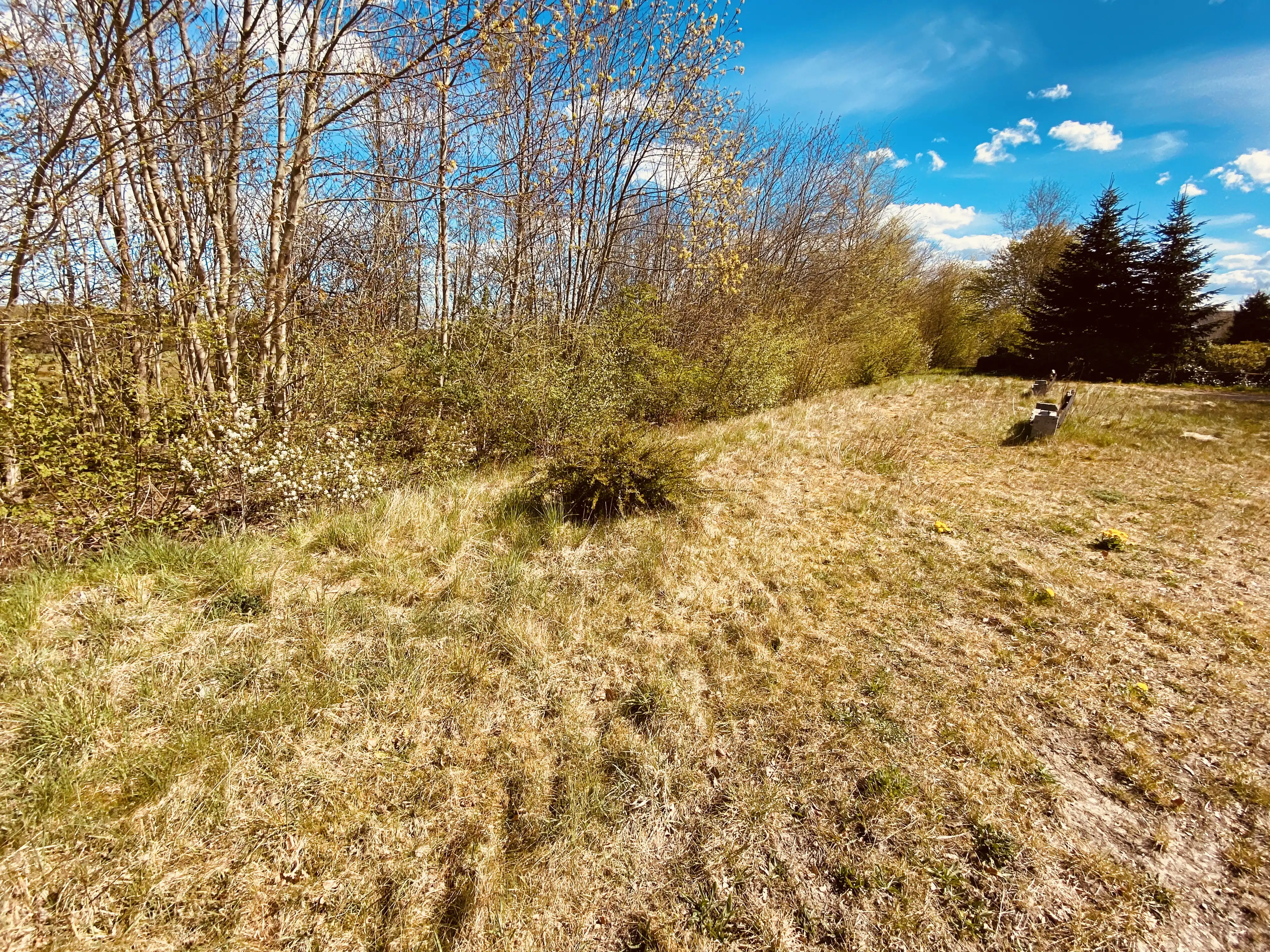 Billede af Jejsing Trinbræt med Sidespor, som er nedrevet, men den har ligget her. Billede af Jejsing Trinbræt med Sidespor, som er nedrevet, men den har ligget her.