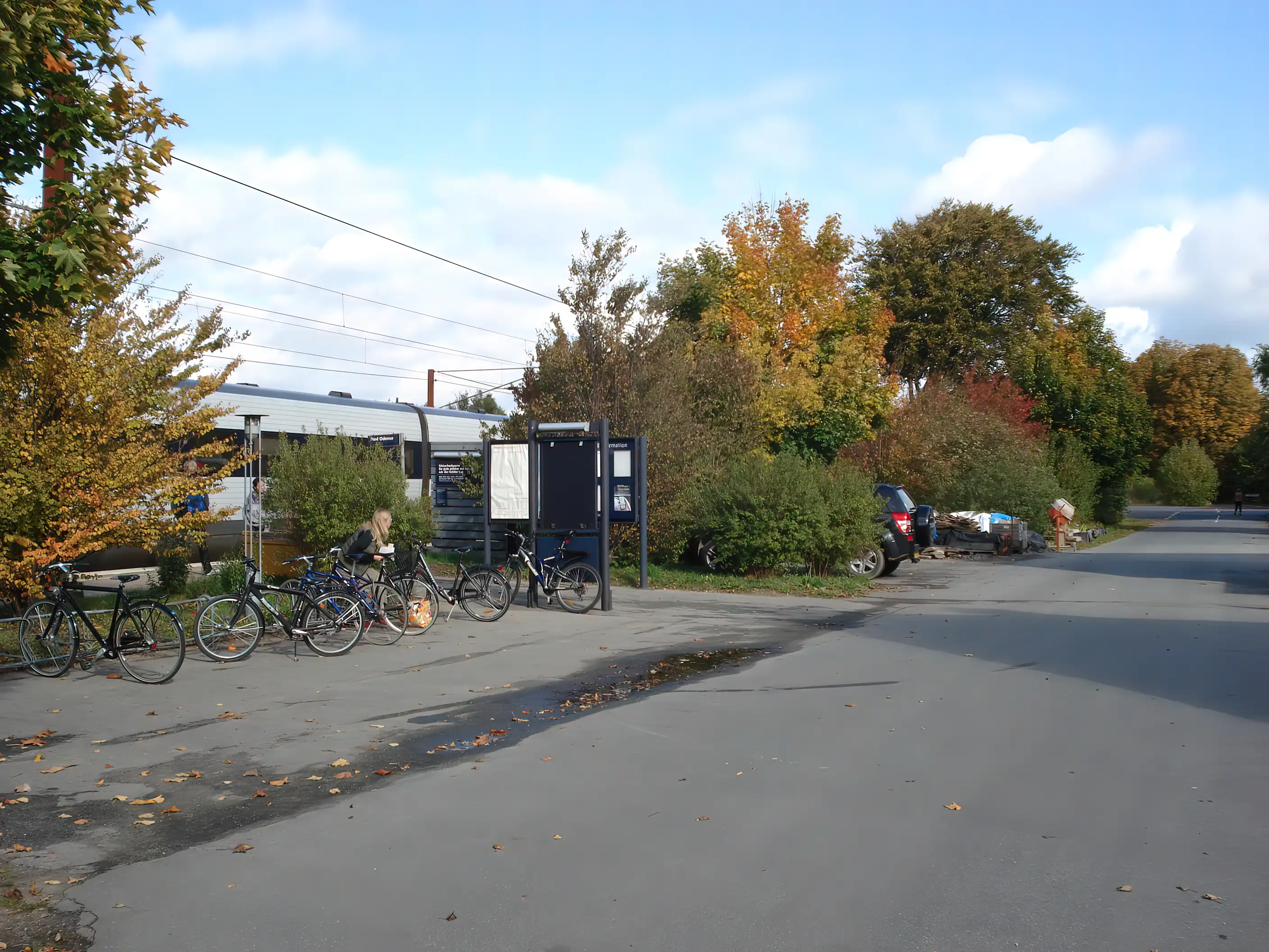 Billede af Holmstrup Trinbræt.