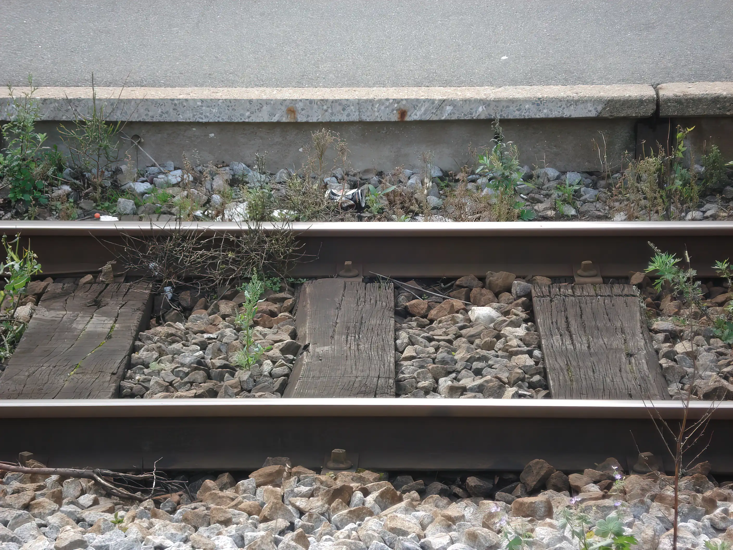 Billede af Hjallese Trinbræt.