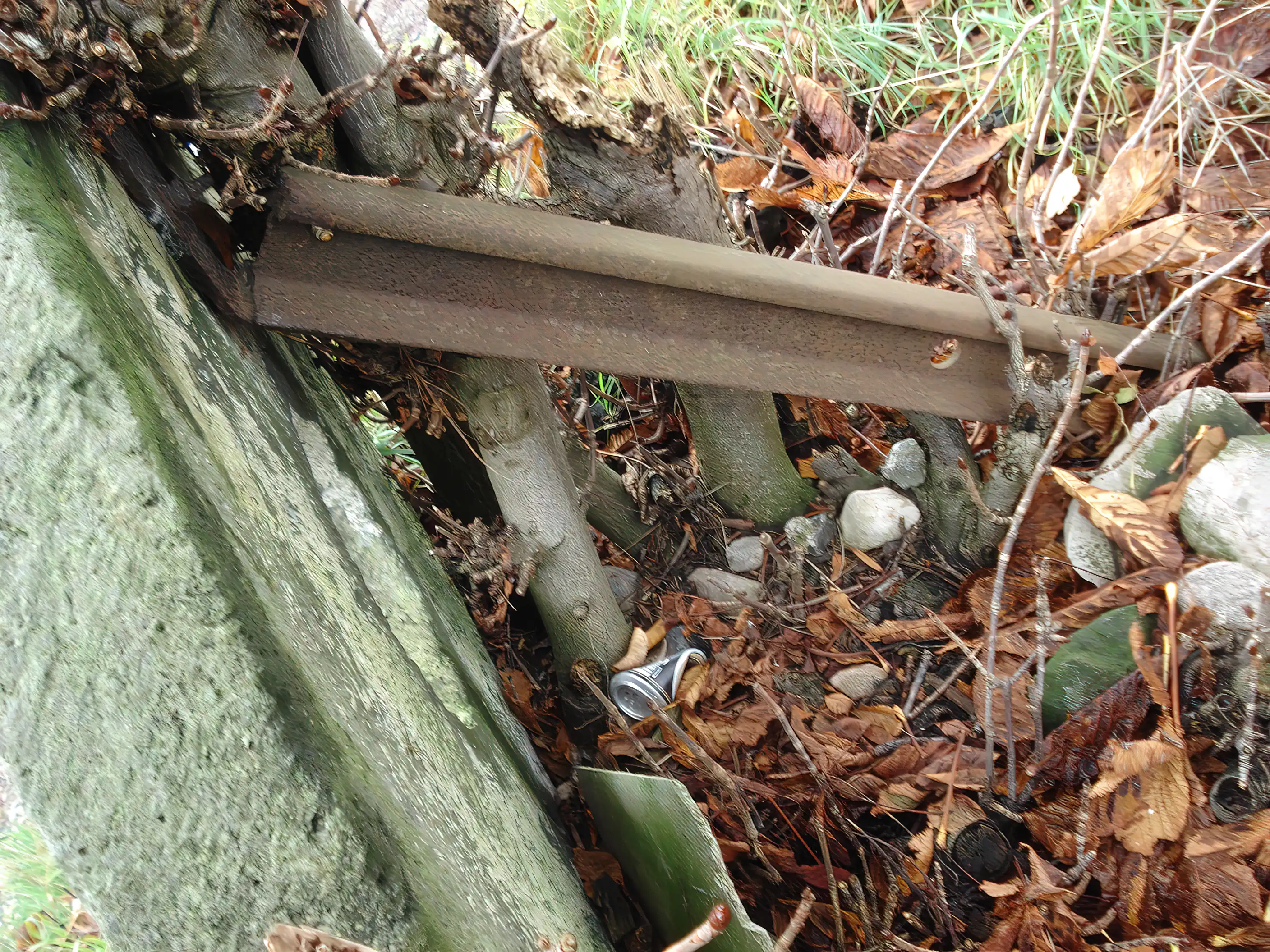 Billede af Pederstrup Trinbræt.