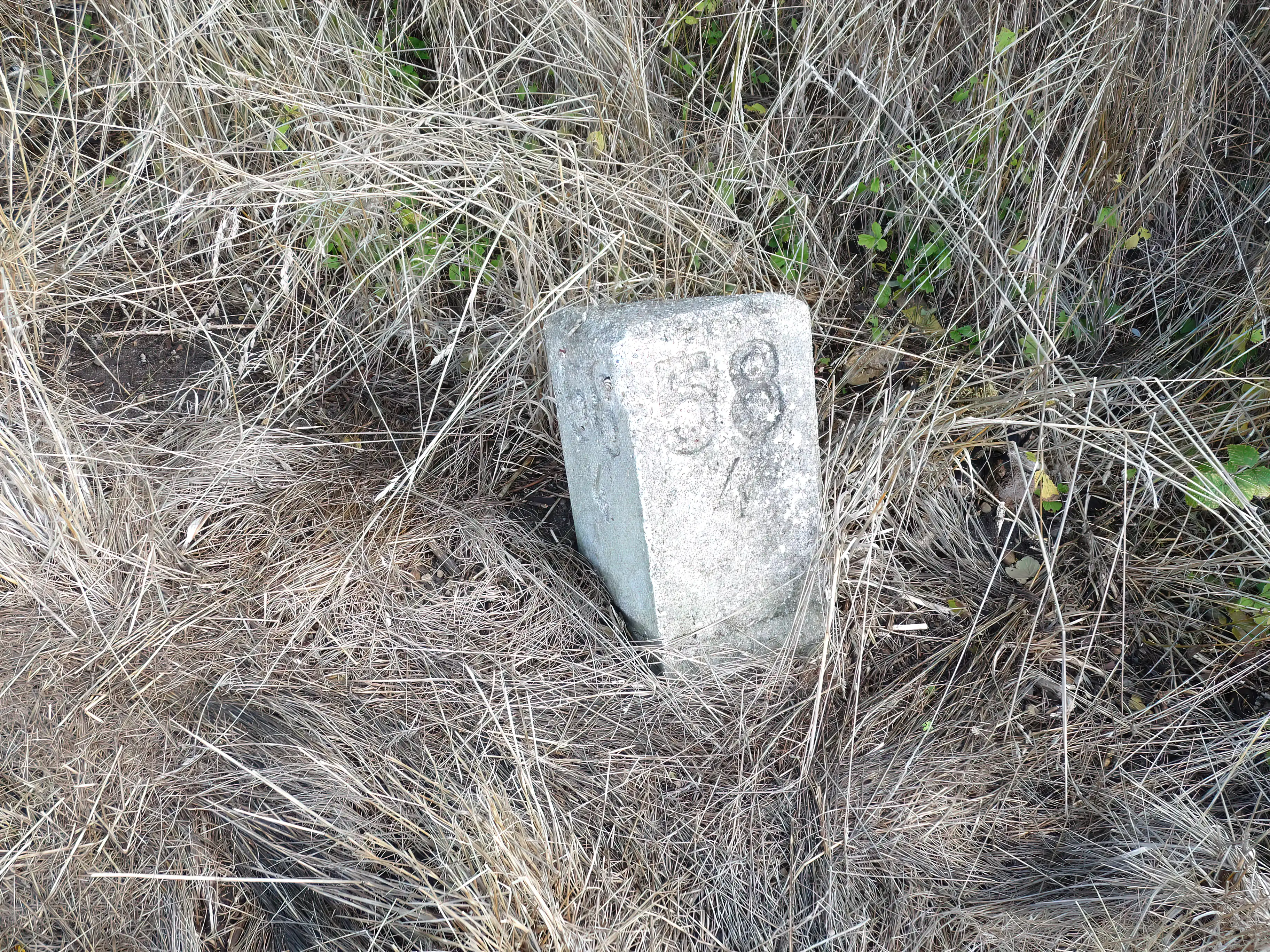 Billede af Kilometerstenen ved Vindblæs Station 58,4. Billede af Kilometerstenen ved Vindblæs Station 58,4.