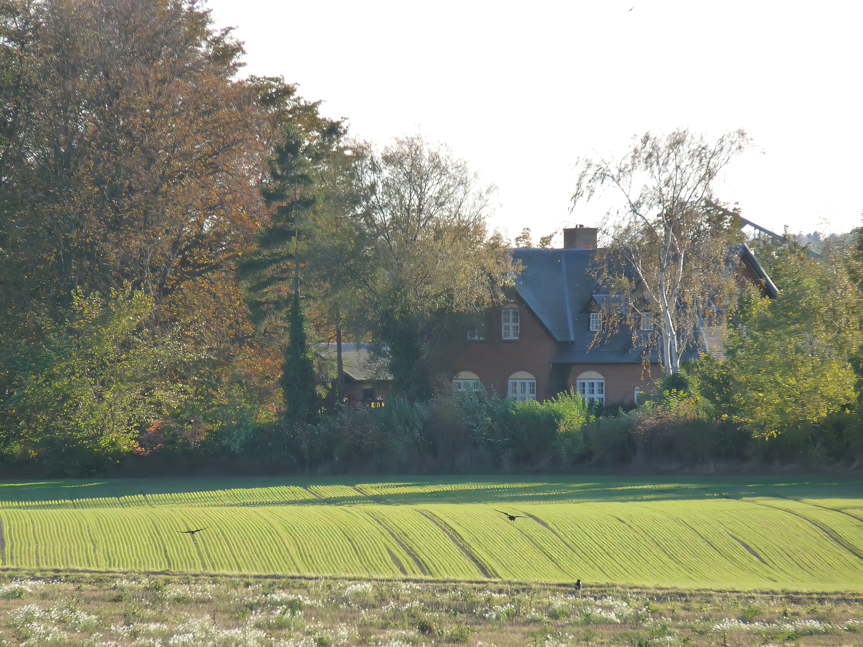 Billede af Døjringe Station. Billede af Døjringe Station.