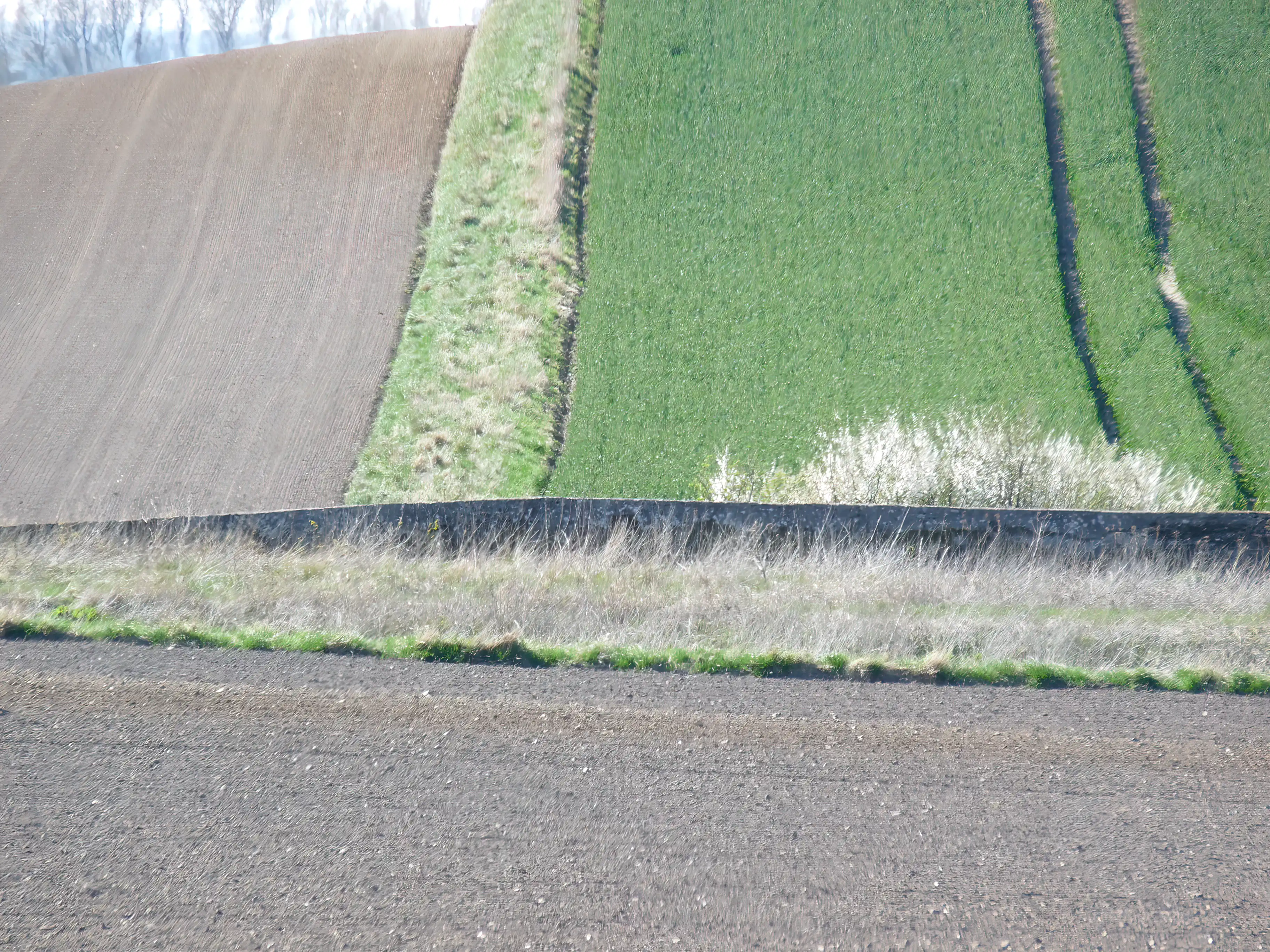 Billede af Hersnap Trinbræt med Sidespors læsserampe. Billede af Hersnap Trinbræt med Sidespors læsserampe.
