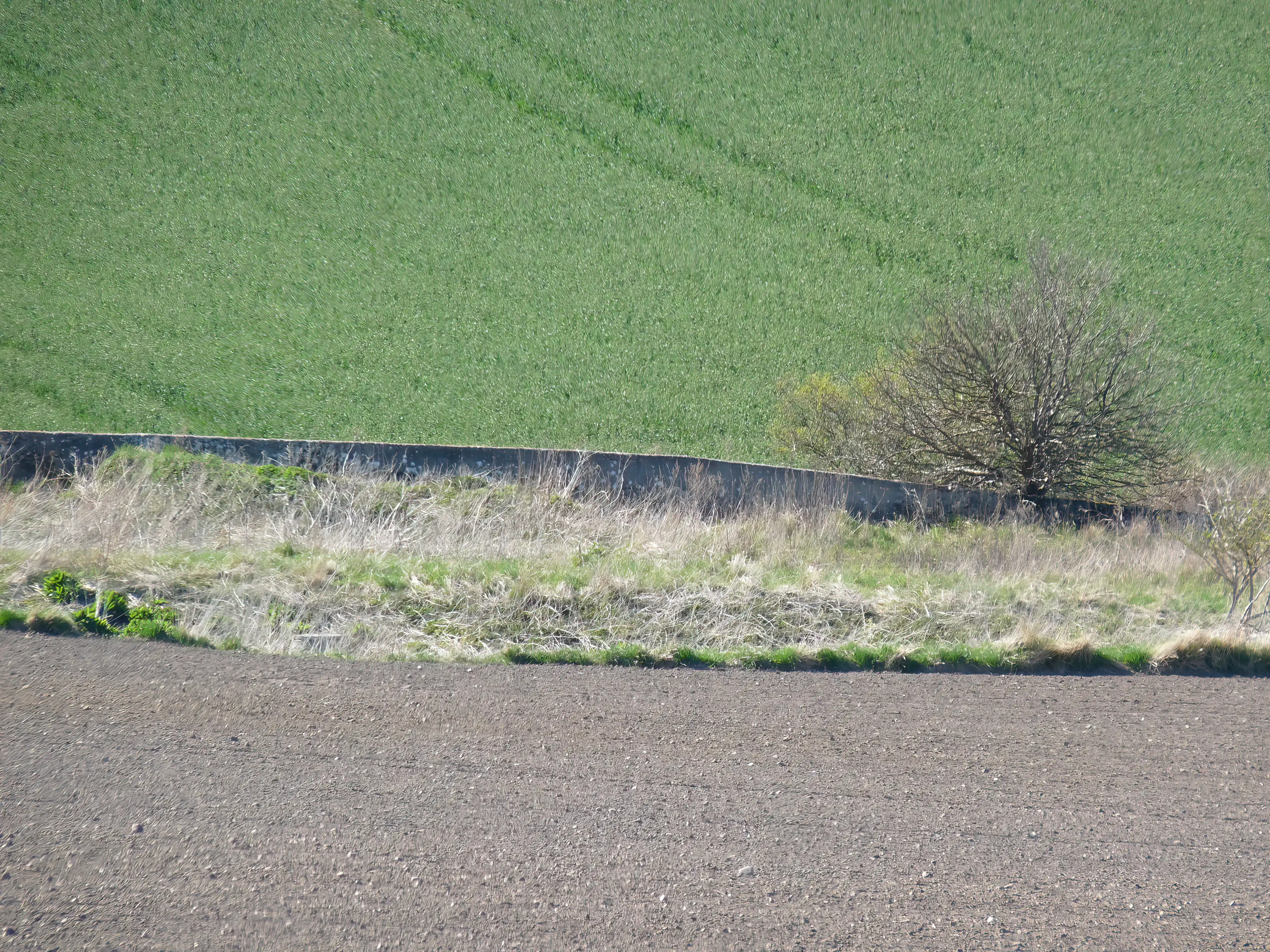 Billede af Hersnap Trinbræt med Sidespors læsserampe. Billede af Hersnap Trinbræt med Sidespors læsserampe.