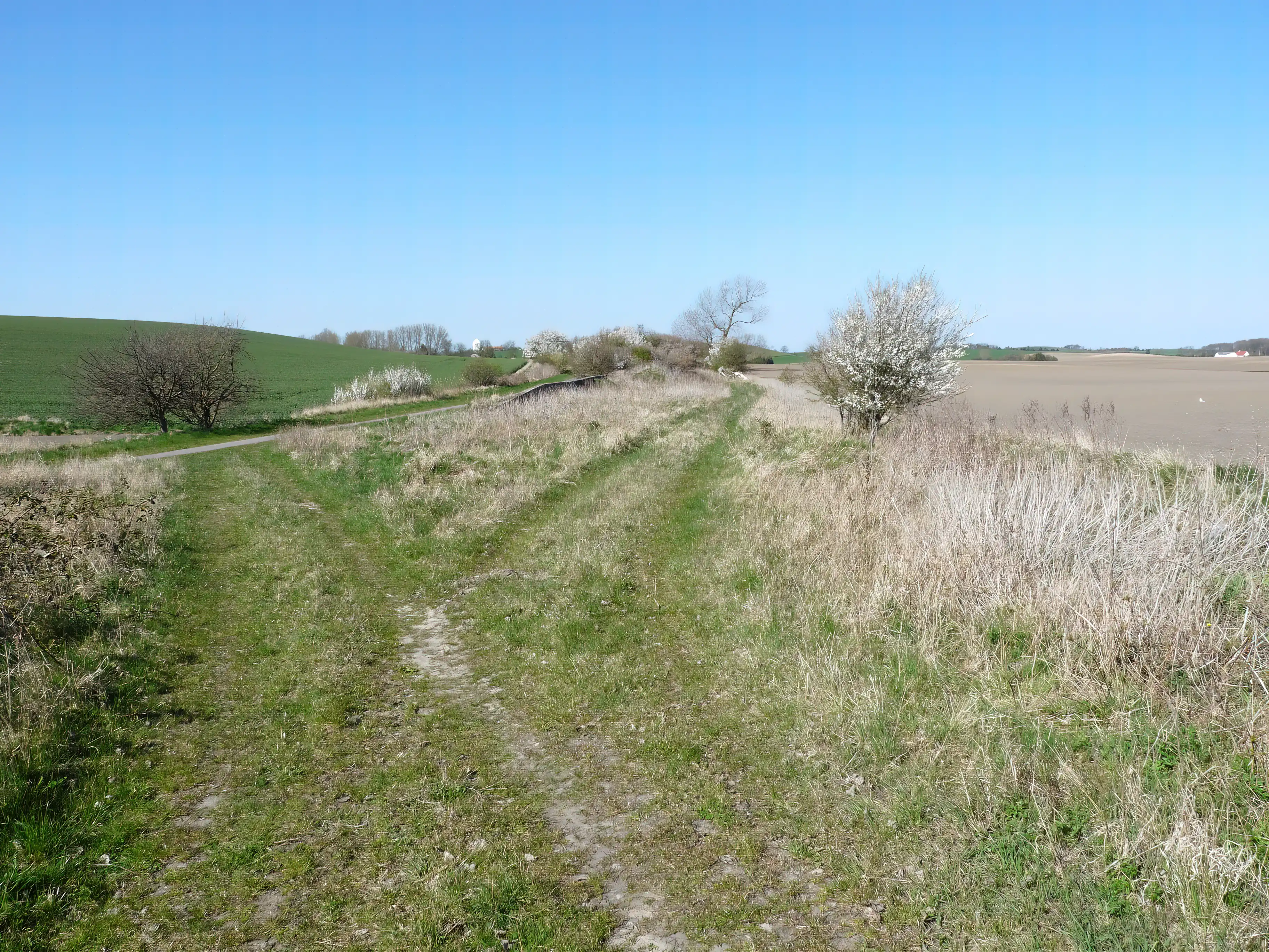 Billede af Hersnap Trinbræt med Sidespors læsserampe. Billede af Hersnap Trinbræt med Sidespors læsserampe.