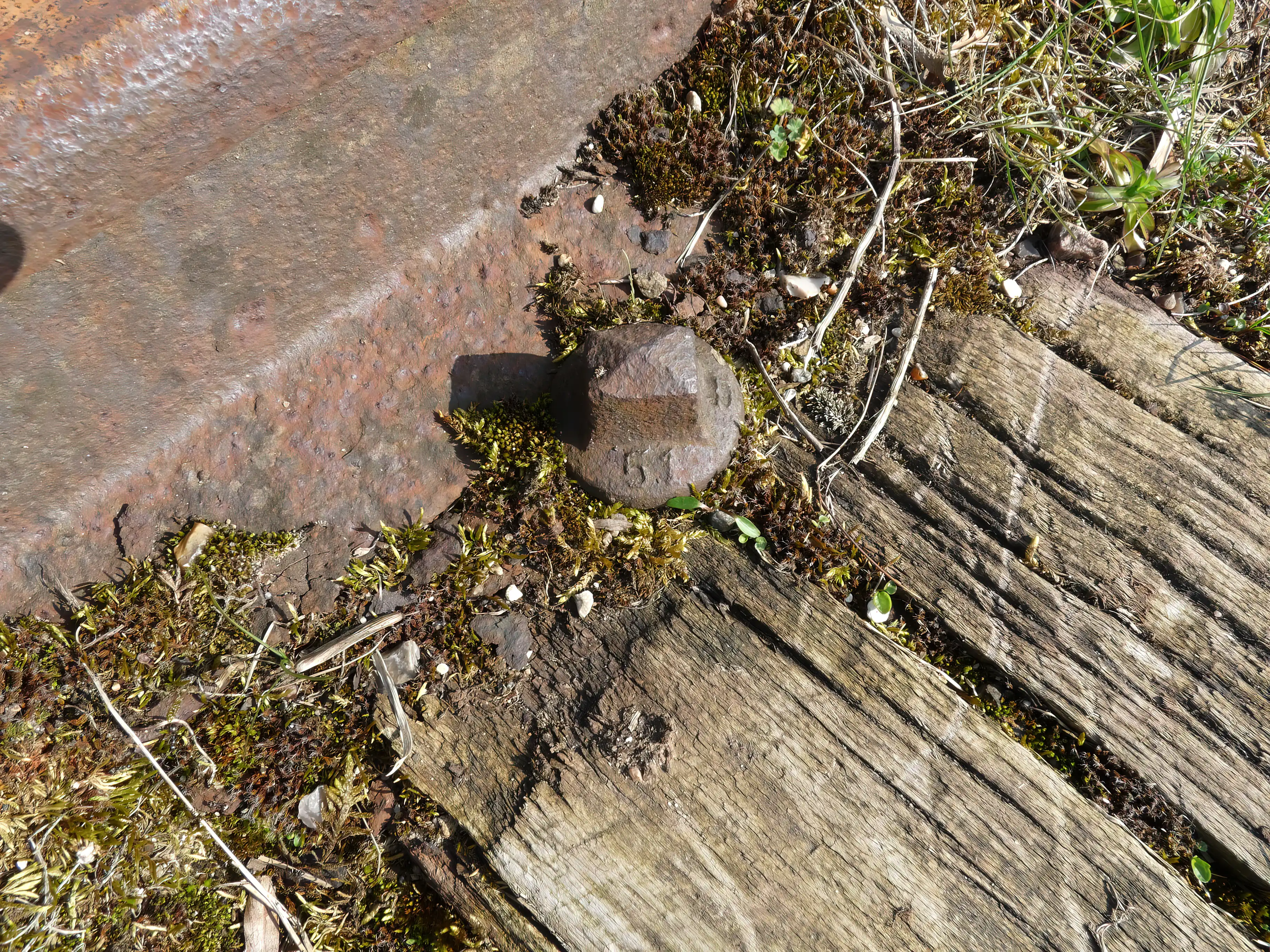 Billede af Høed Trinbræt er nedrevet, men den har ligget her.