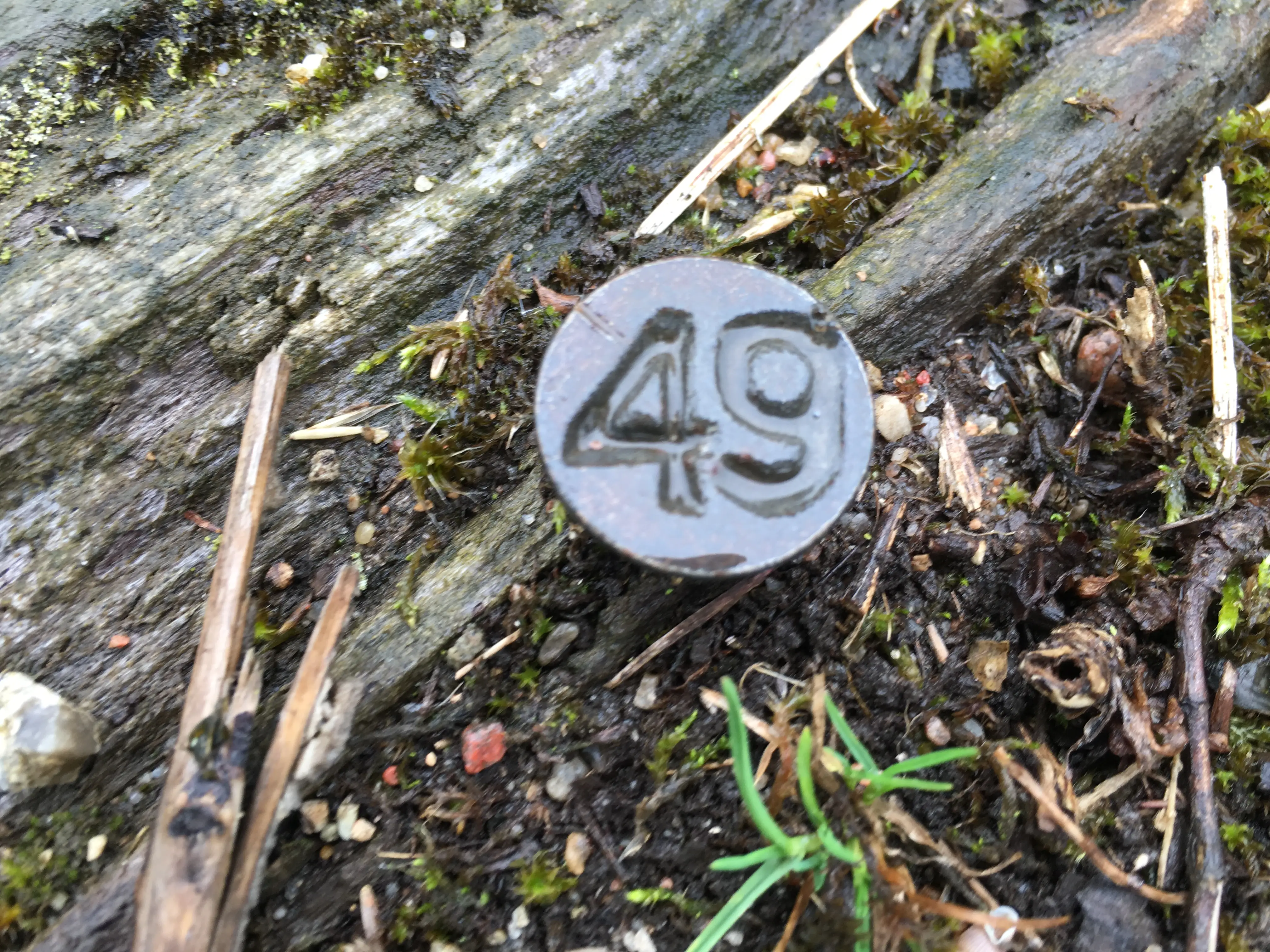 Billede af Kivsmose Trinbræt - Trinbræt er nedrevet, men Kivsmose Trinbræt har ligget her.