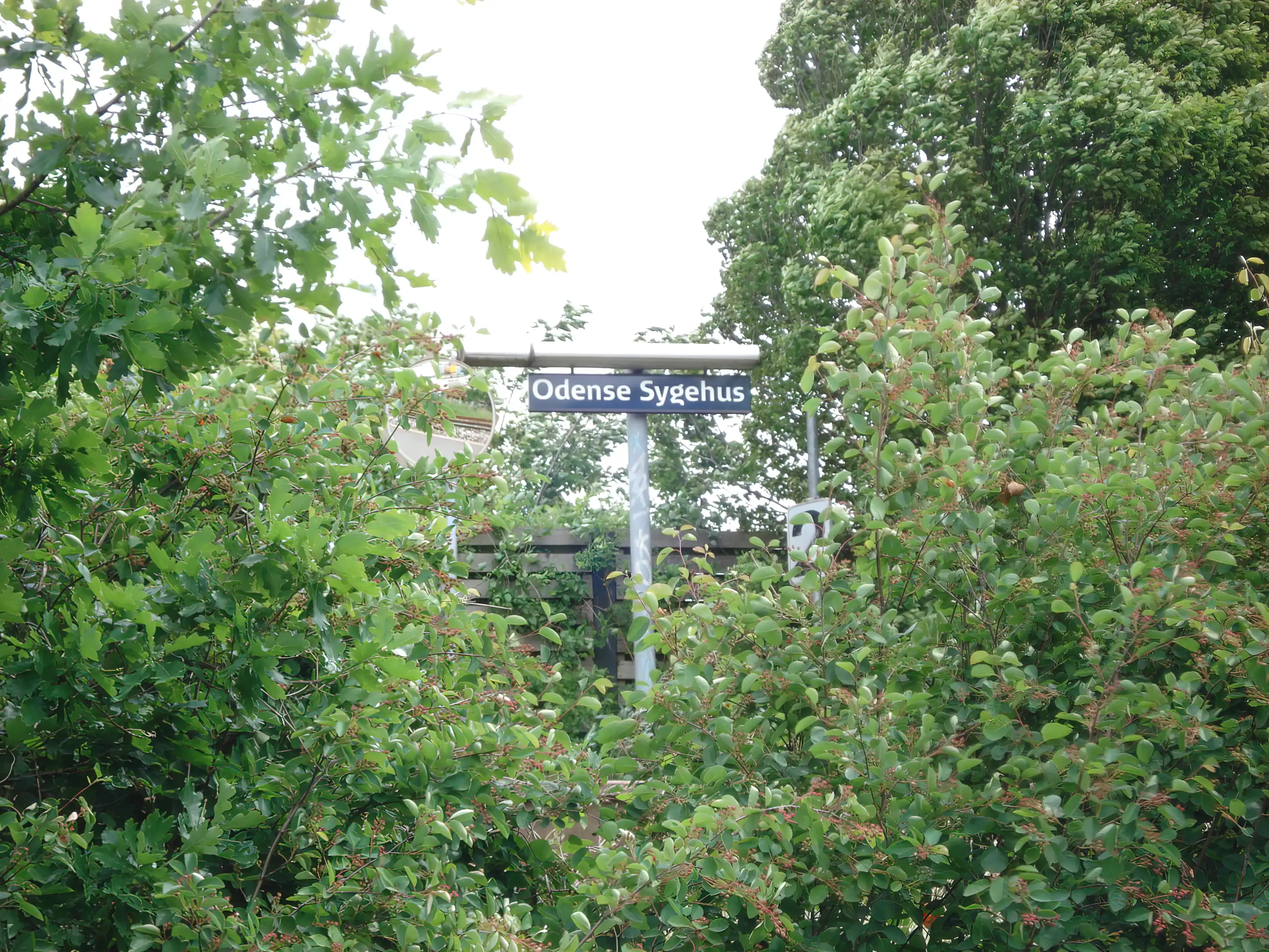 Billede af Odense Sygehus Trinbræt.