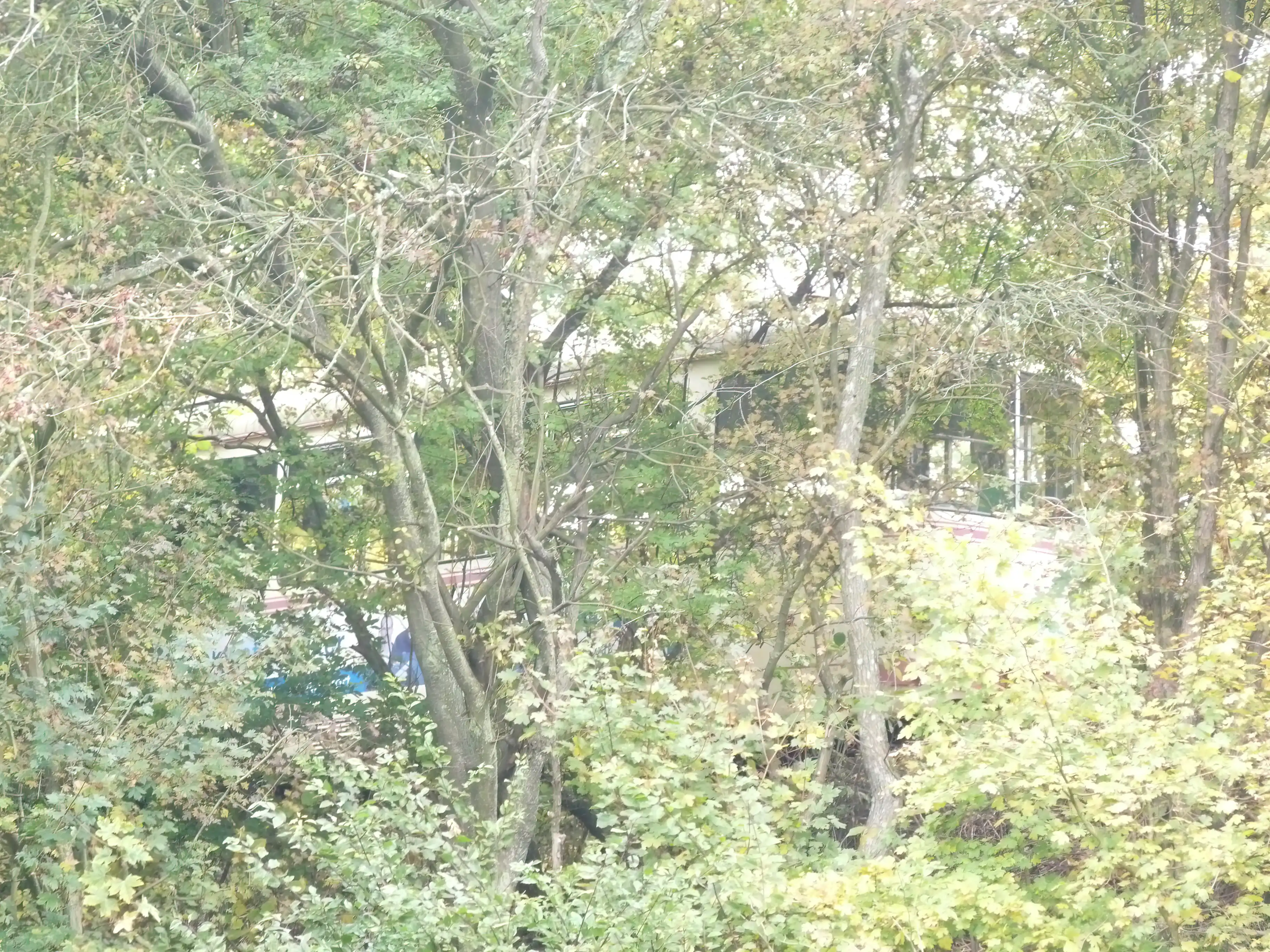 Billede af Skjoldenæsholm Trinbræt - Billetsalgssted er nedrevet, men Skjoldenæsholm Trinbræt har ligget her. Billede af Skjoldenæsholm Trinbræt - Billetsalgssted er nedrevet, men Skjoldenæsholm Trinbræt har ligget her.