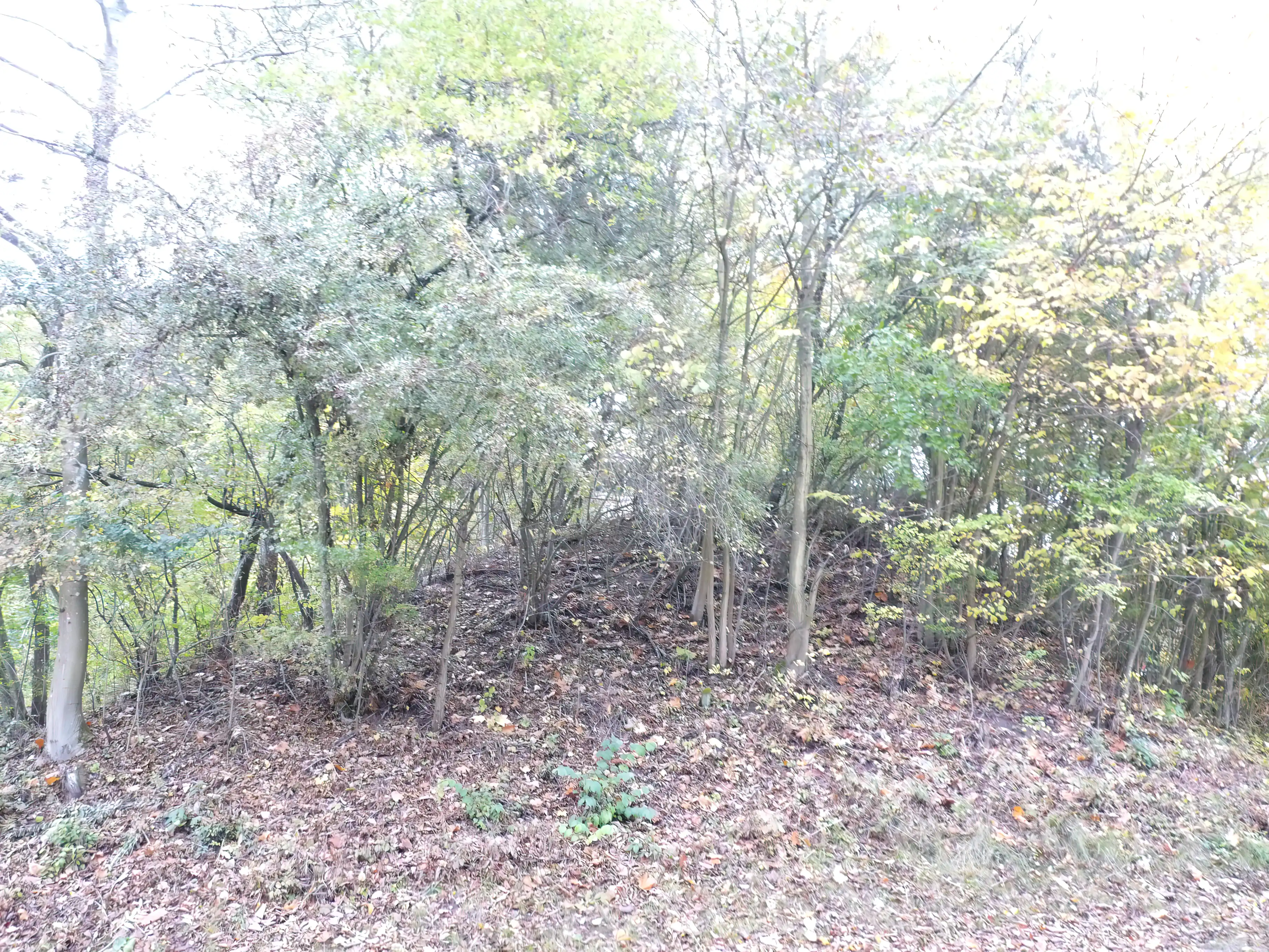 Billede af Skjoldenæsholm Trinbræt - Billetsalgssted er nedrevet, men Skjoldenæsholm Trinbræt har ligget her. Billede af Skjoldenæsholm Trinbræt - Billetsalgssted er nedrevet, men Skjoldenæsholm Trinbræt har ligget her.