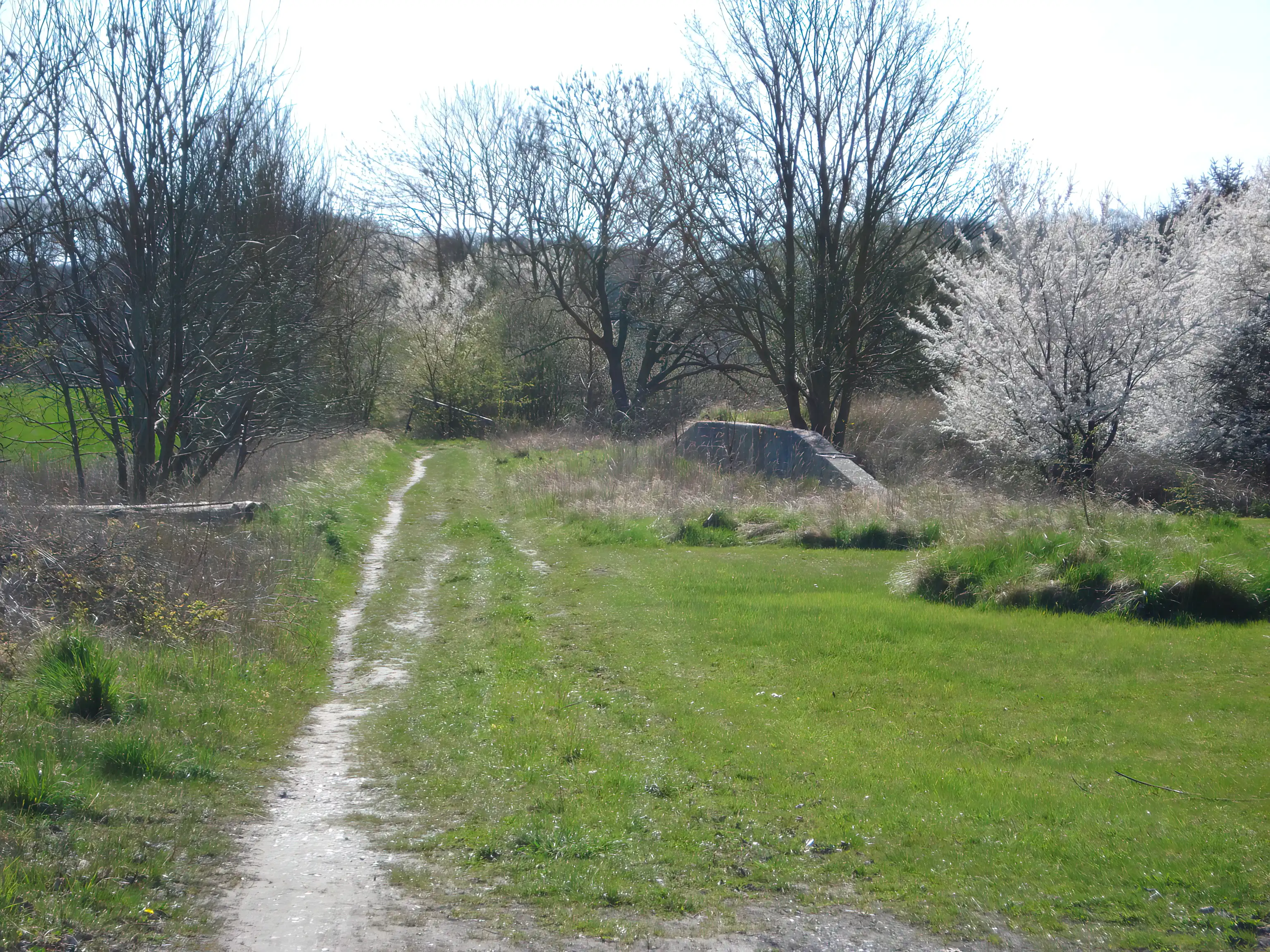 Billede af Trellerup Trinbræt med Sidespors læsserampe.