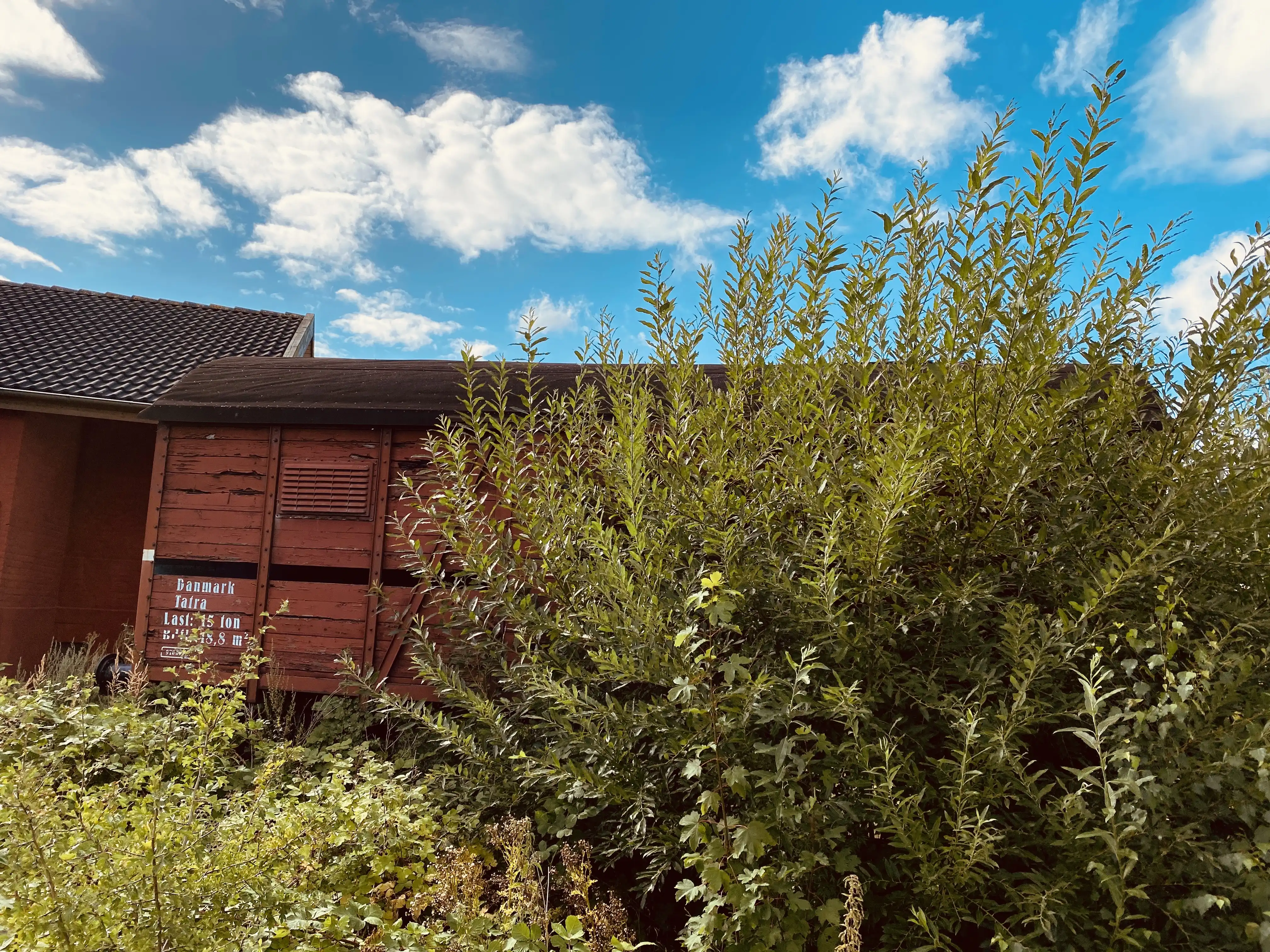 Billede af Tønder H Stations remise. Billede af Tønder H Stations remise.