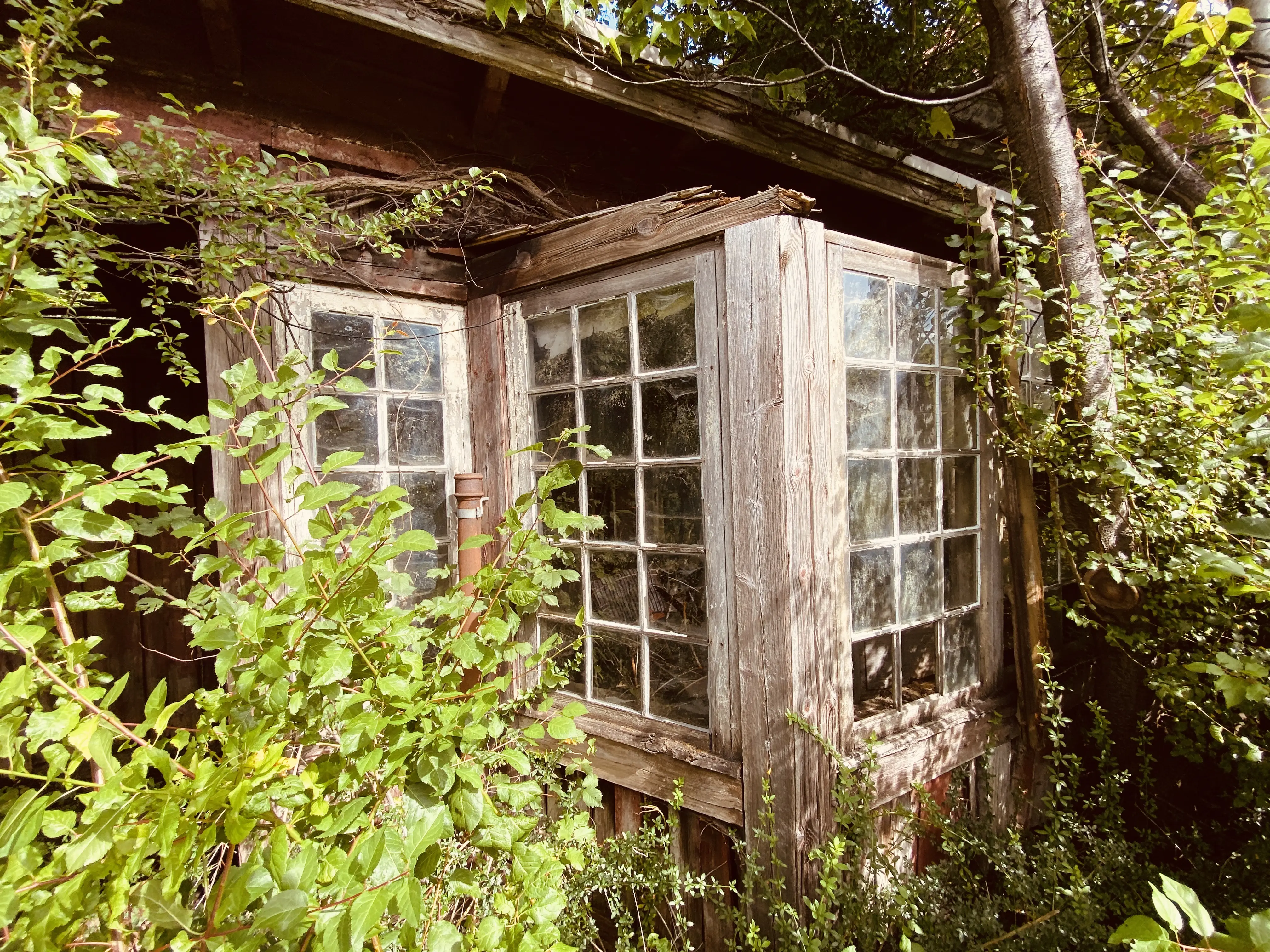 Billede af Skalbjerg Station.