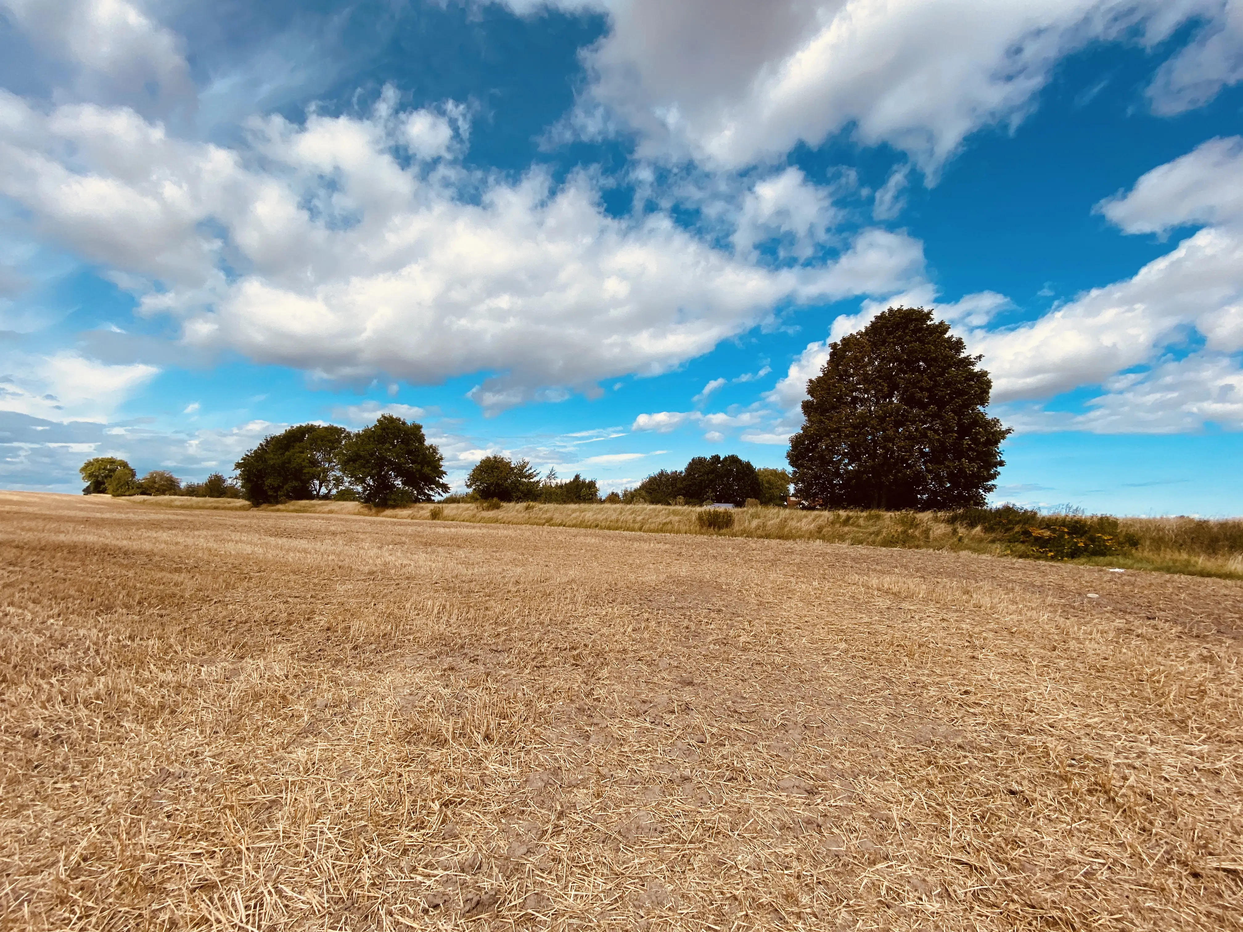 Billede af banedæmningen ved Ejlby Sidespor. Billede af banedæmningen ved Ejlby Sidespor.