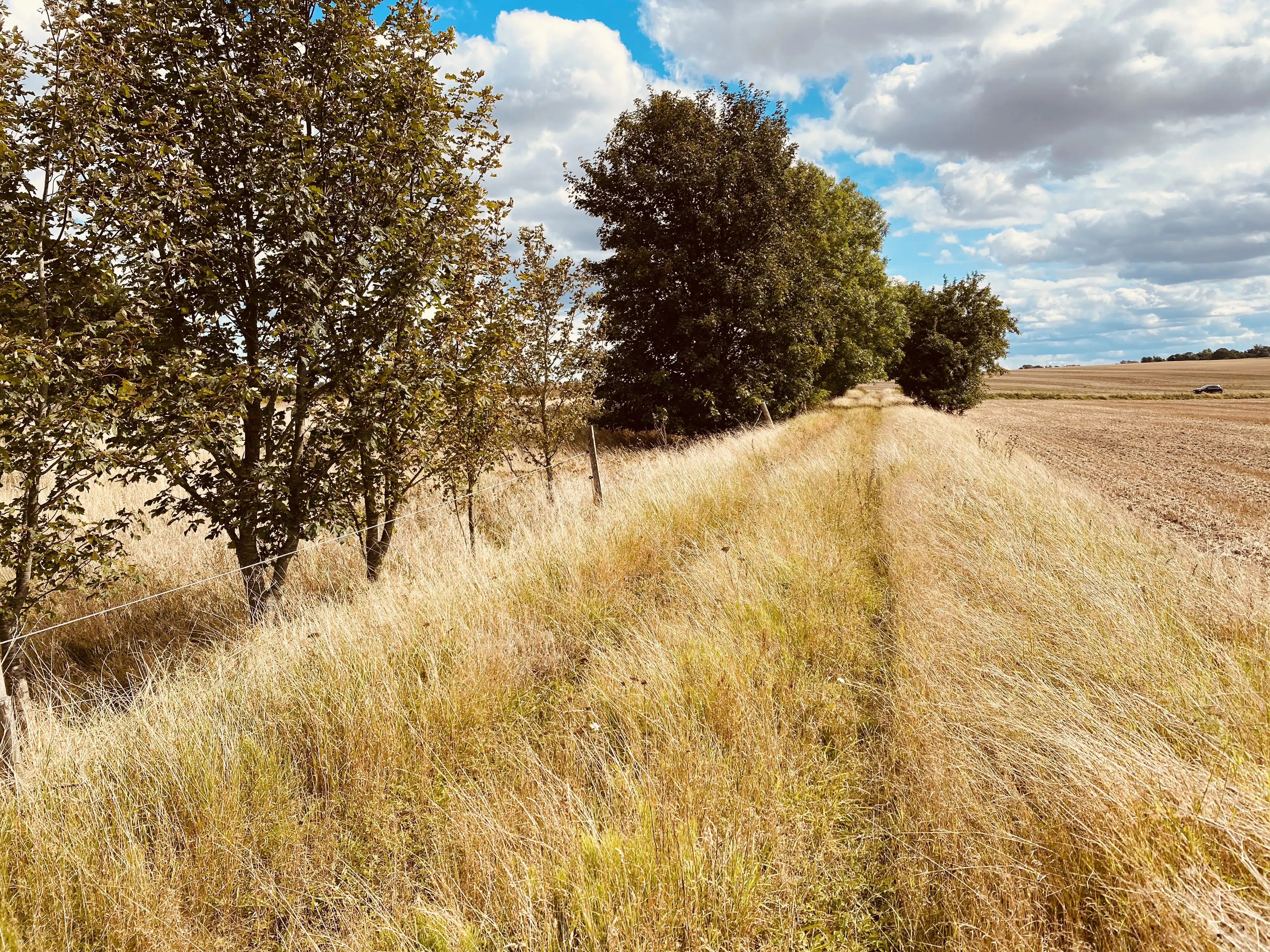 Billede af banedæmningen ved Ejlby Sidespor. Billede af banedæmningen ved Ejlby Sidespor.