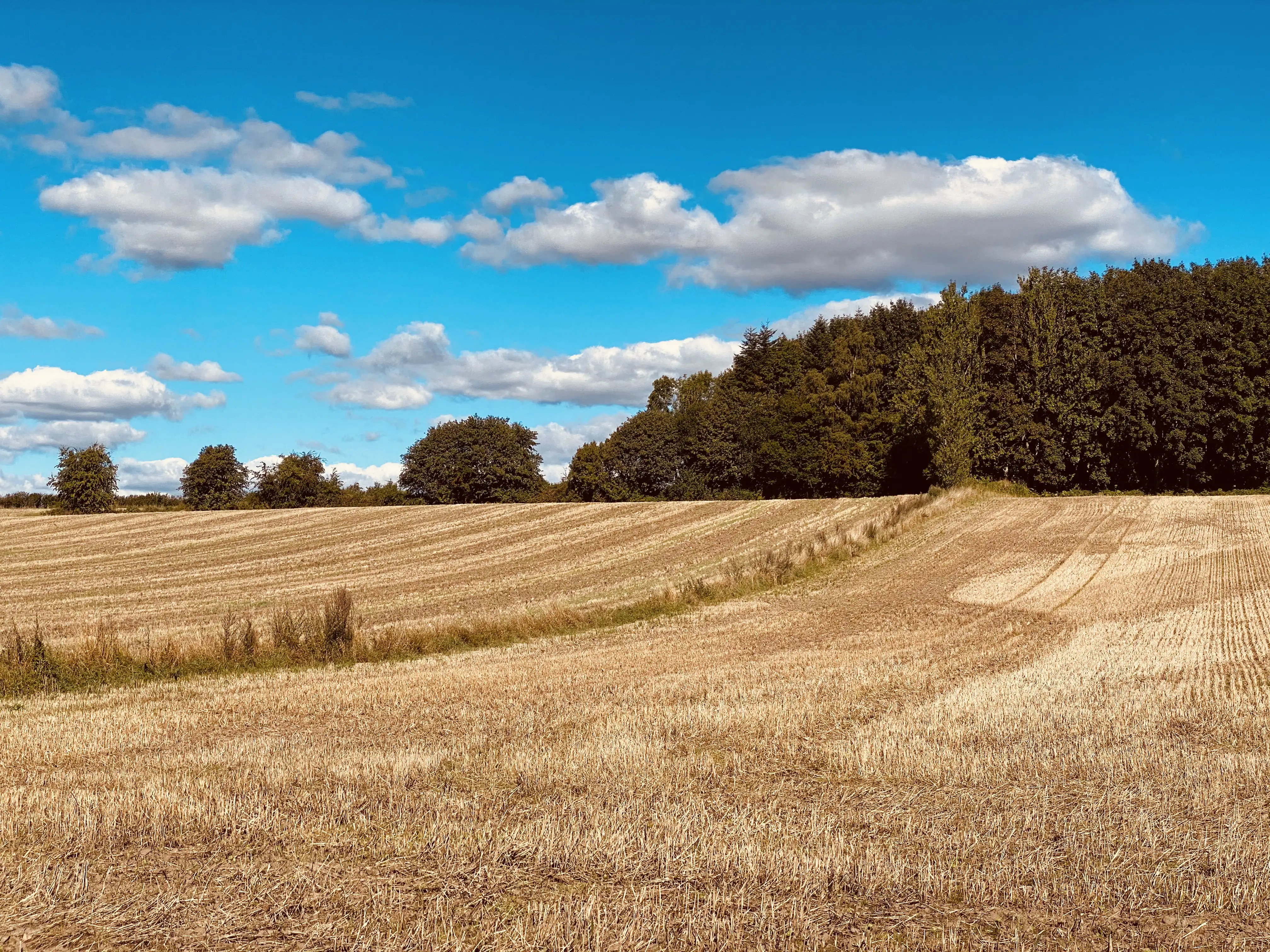 Billede af Nakkebølle Trinbræt - Trinbræt er nedrevet, men Nakkebølle Trinbræt har ligget her. Billede af Nakkebølle Trinbræt - Trinbræt er nedrevet, men Nakkebølle Trinbræt har ligget her.
