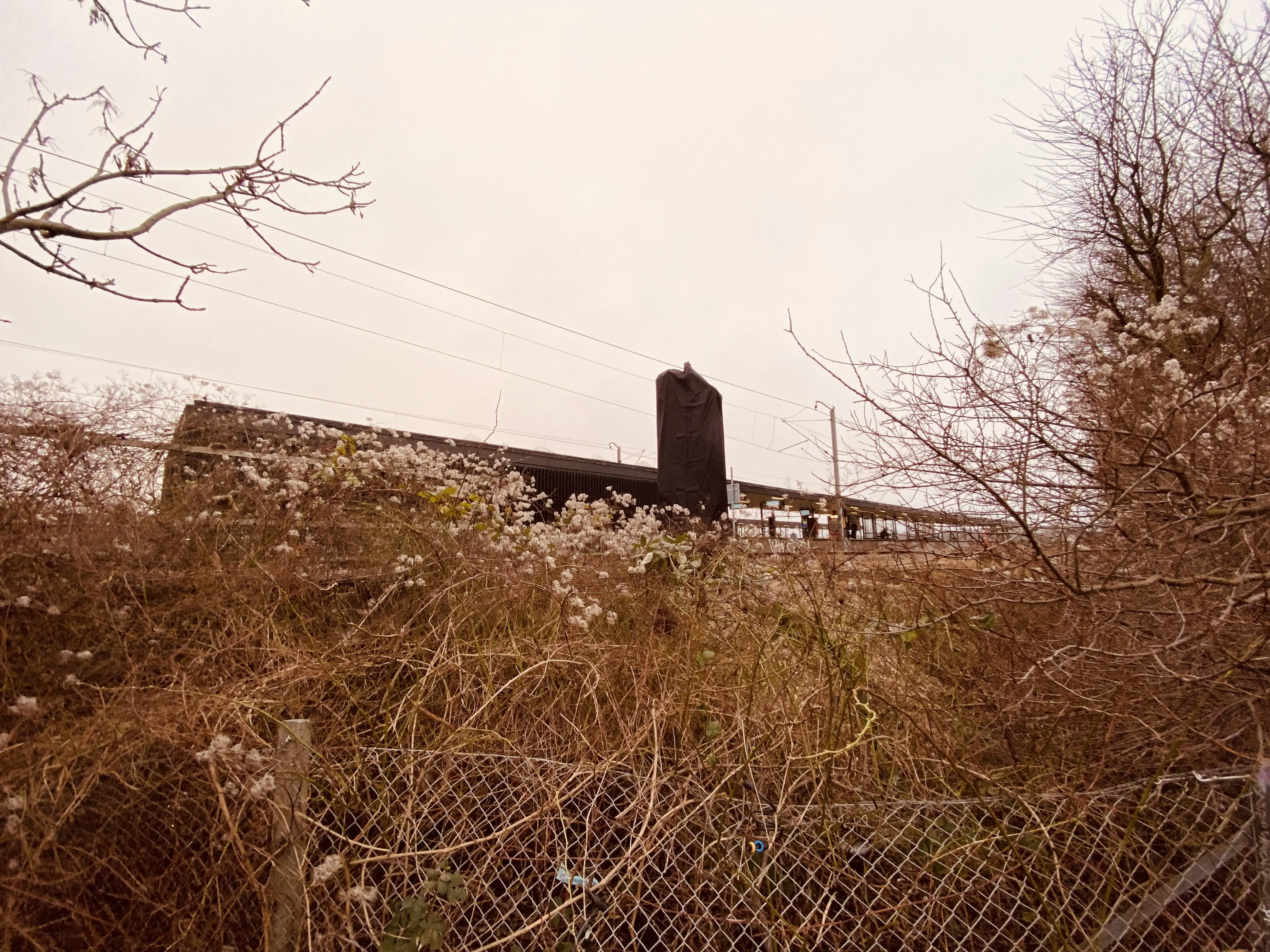 Billede af Ryparken S-togstrinbræt.