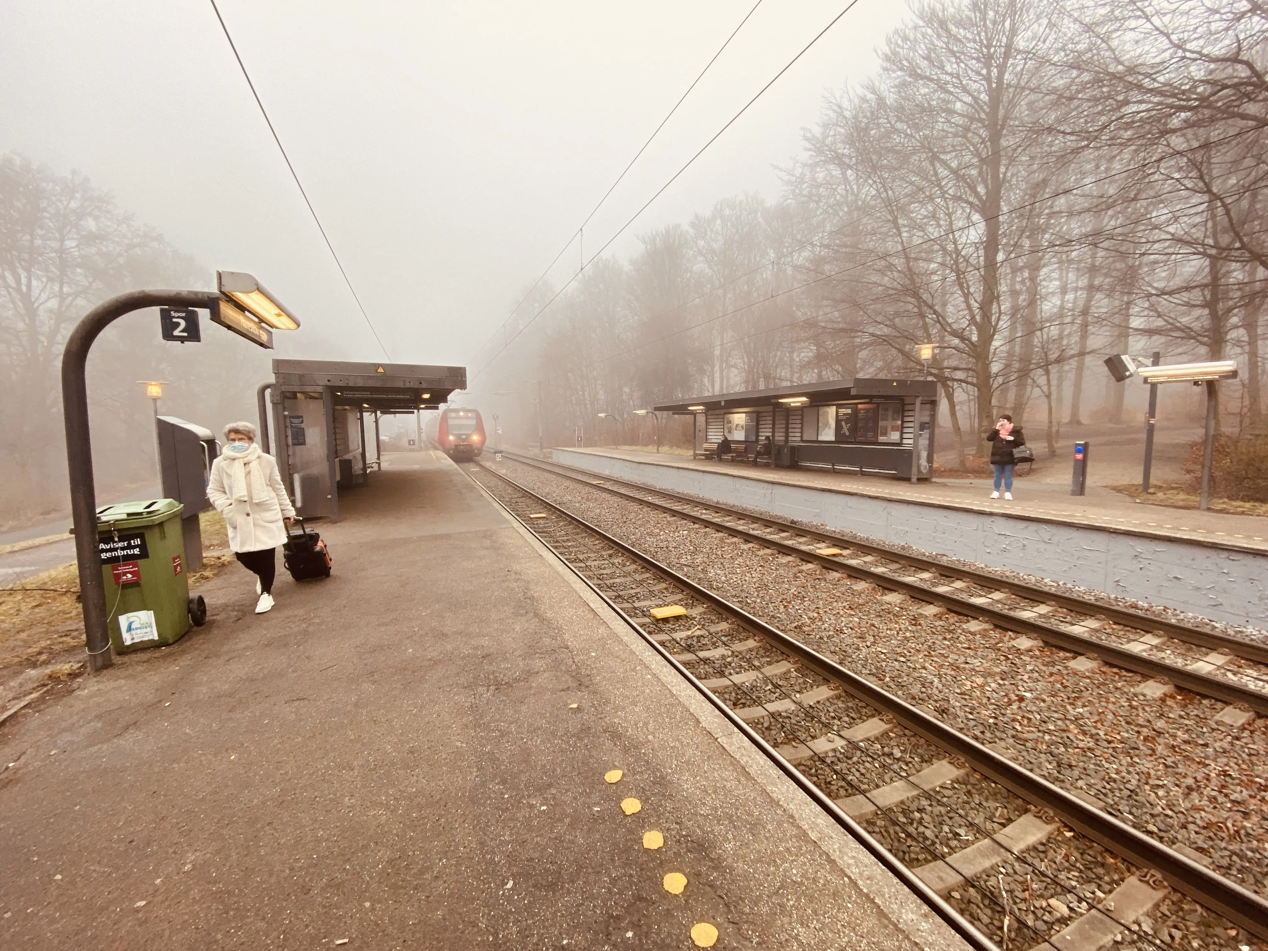 Billede af Hareskov S-togstrinbræt.