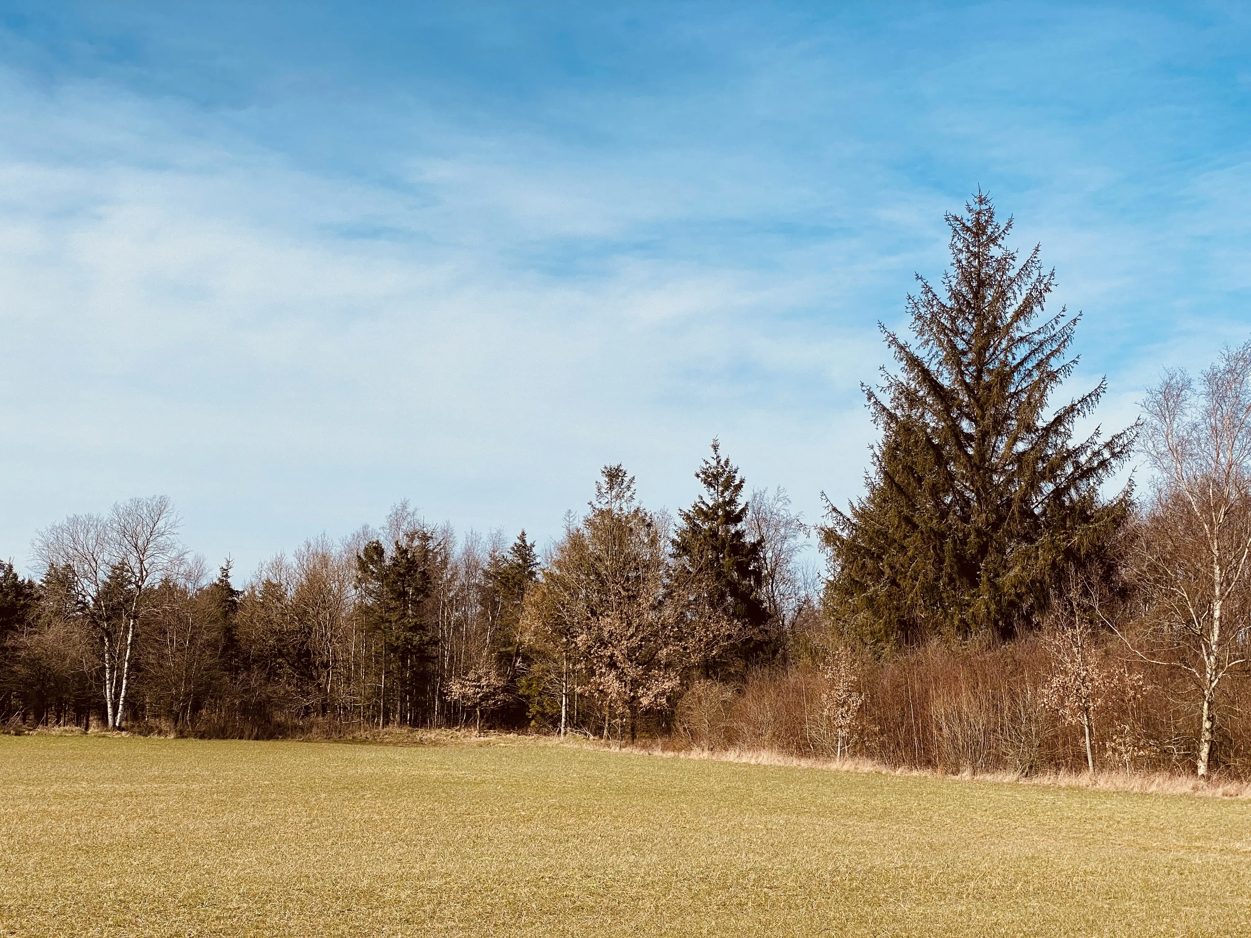 Billede af Ullemølle Trinbræt med Sidespor - Trinbræt med Sidespor er nedrevet, men Ullemølle Trinbræt med Sidespor har ligget her.