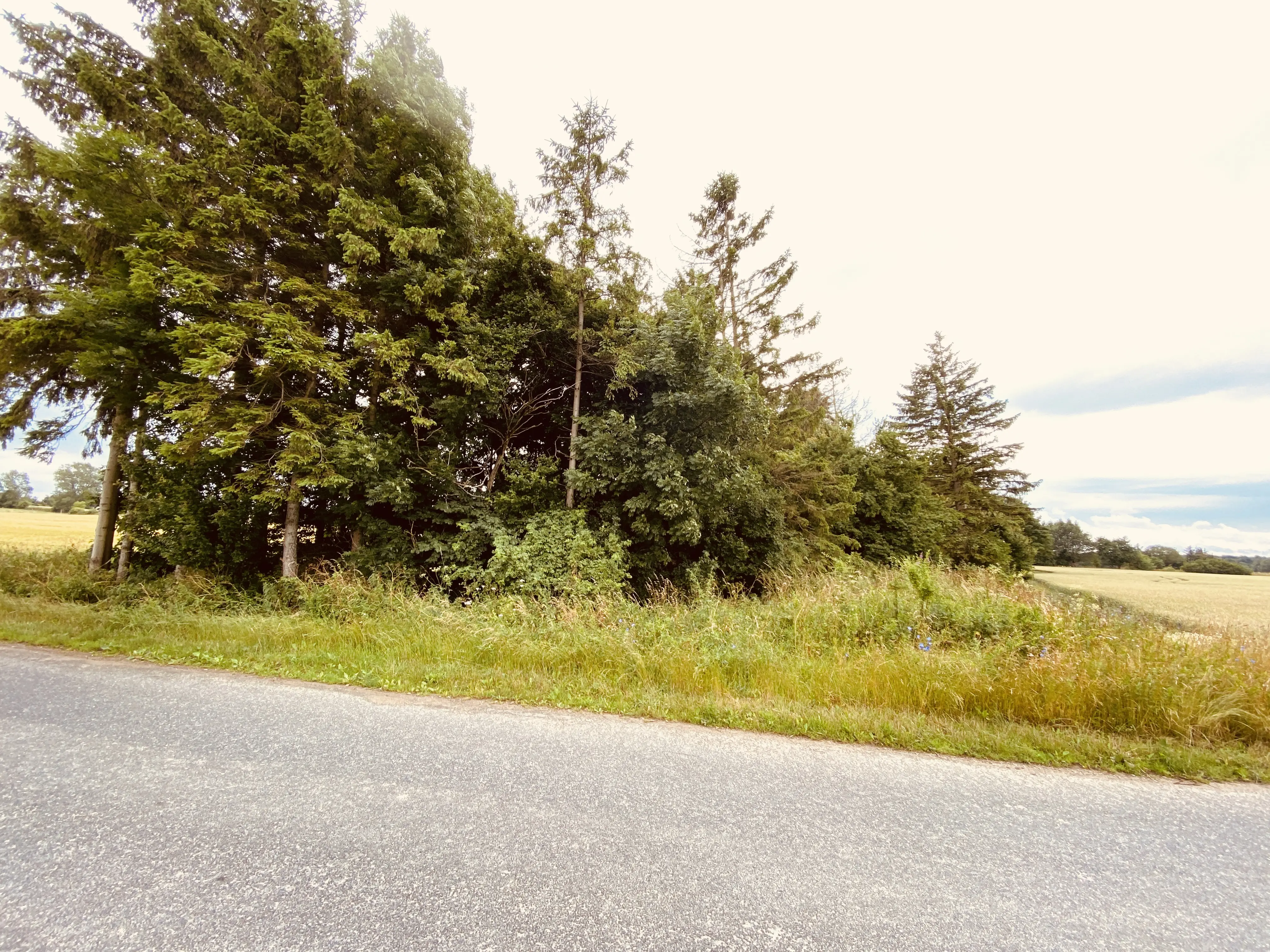 Billede af Skibinge Trinbræt med Sidespor - Trinbræt med Sidespor er nedrevet, men Skibinge Trinbræt med Sidespor har ligget her.