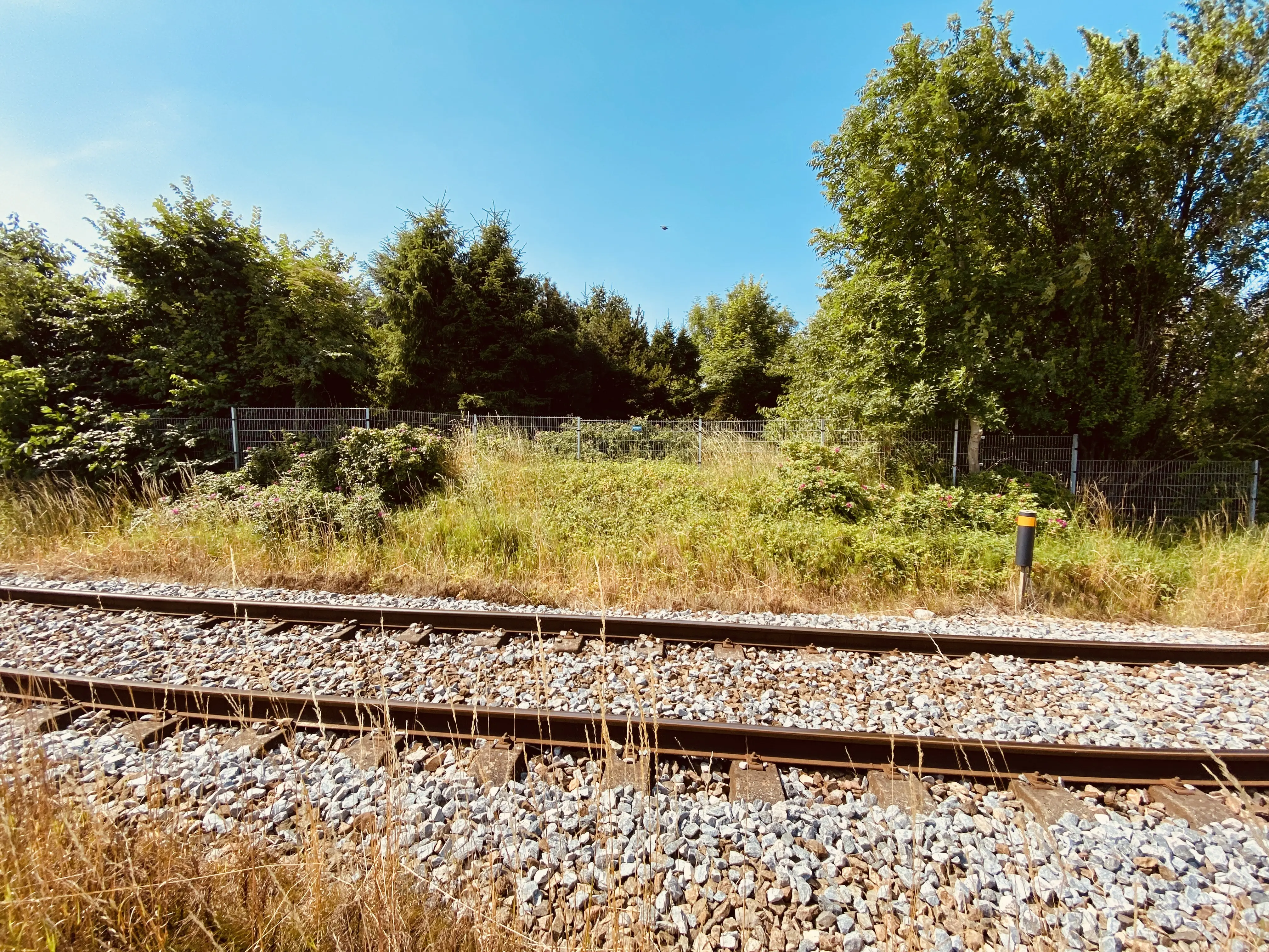 Billede af Kregme Kirkesti Trinbræt - Trinbræt er nedrevet, men Kregme Kirkesti Trinbræt har ligget her.