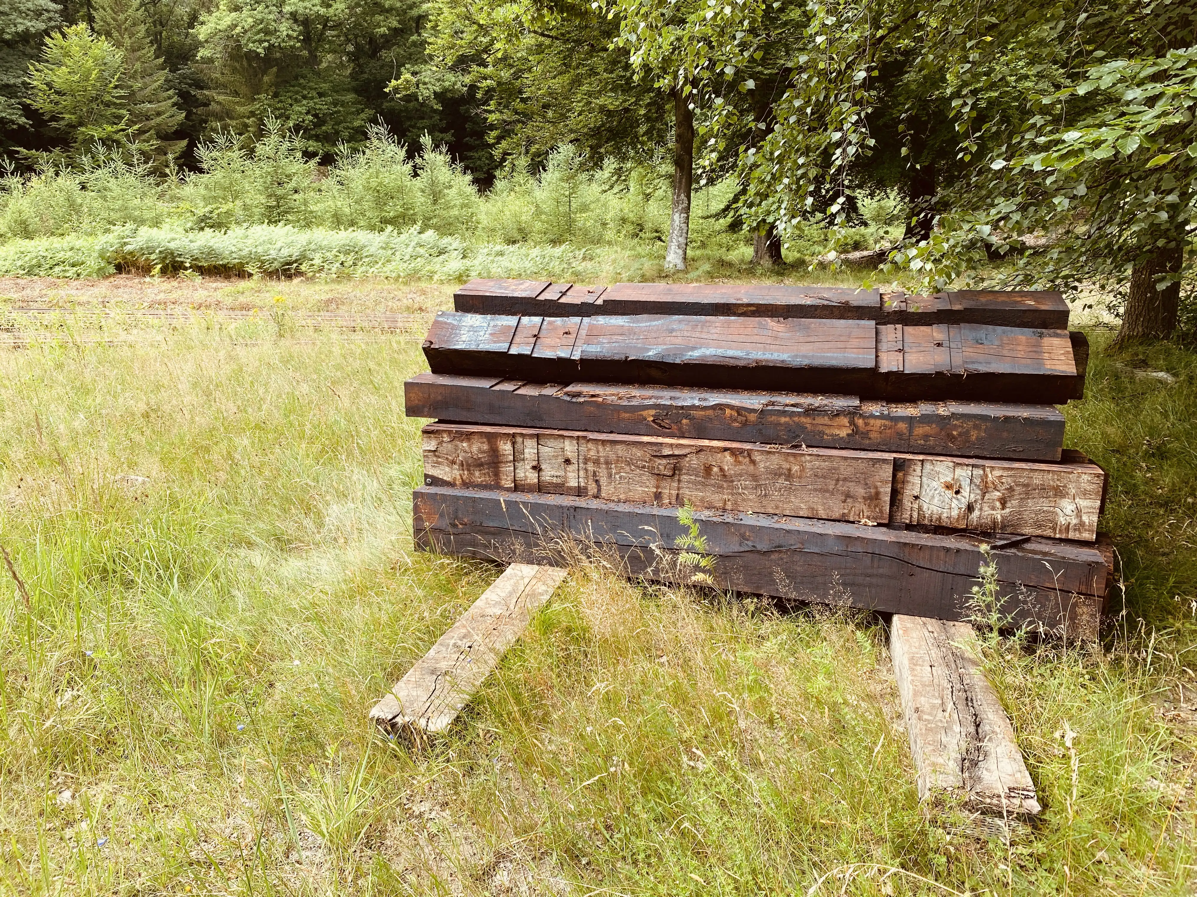 Billede af Storkevad Trinbræt med Sidespor - Trinbræt med Sidespor er nedrevet, men Storkevad Trinbræt med Sidespor har ligget her. Billede af Storkevad Trinbræt med Sidespor - Trinbræt med Sidespor er nedrevet, men Storkevad Trinbræt med Sidespor har ligget her.