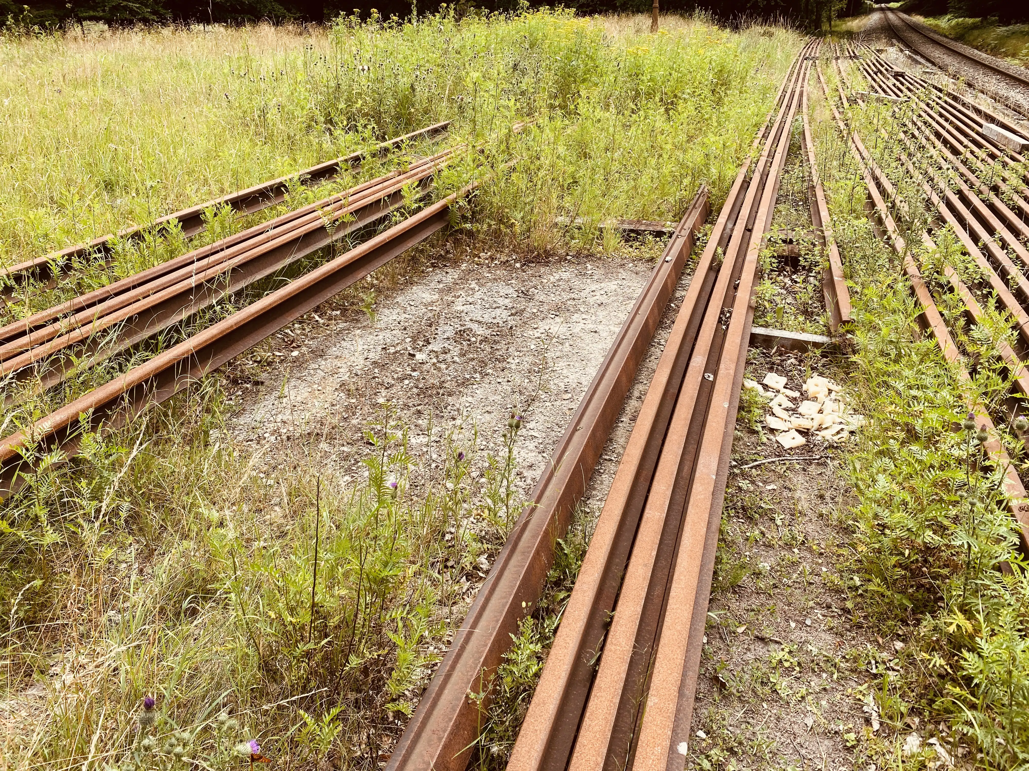 Billede af fundamentet for venteskuret ved Storkevad Trinbræt med Sidespor. Billede af fundamentet for venteskuret ved Storkevad Trinbræt med Sidespor.