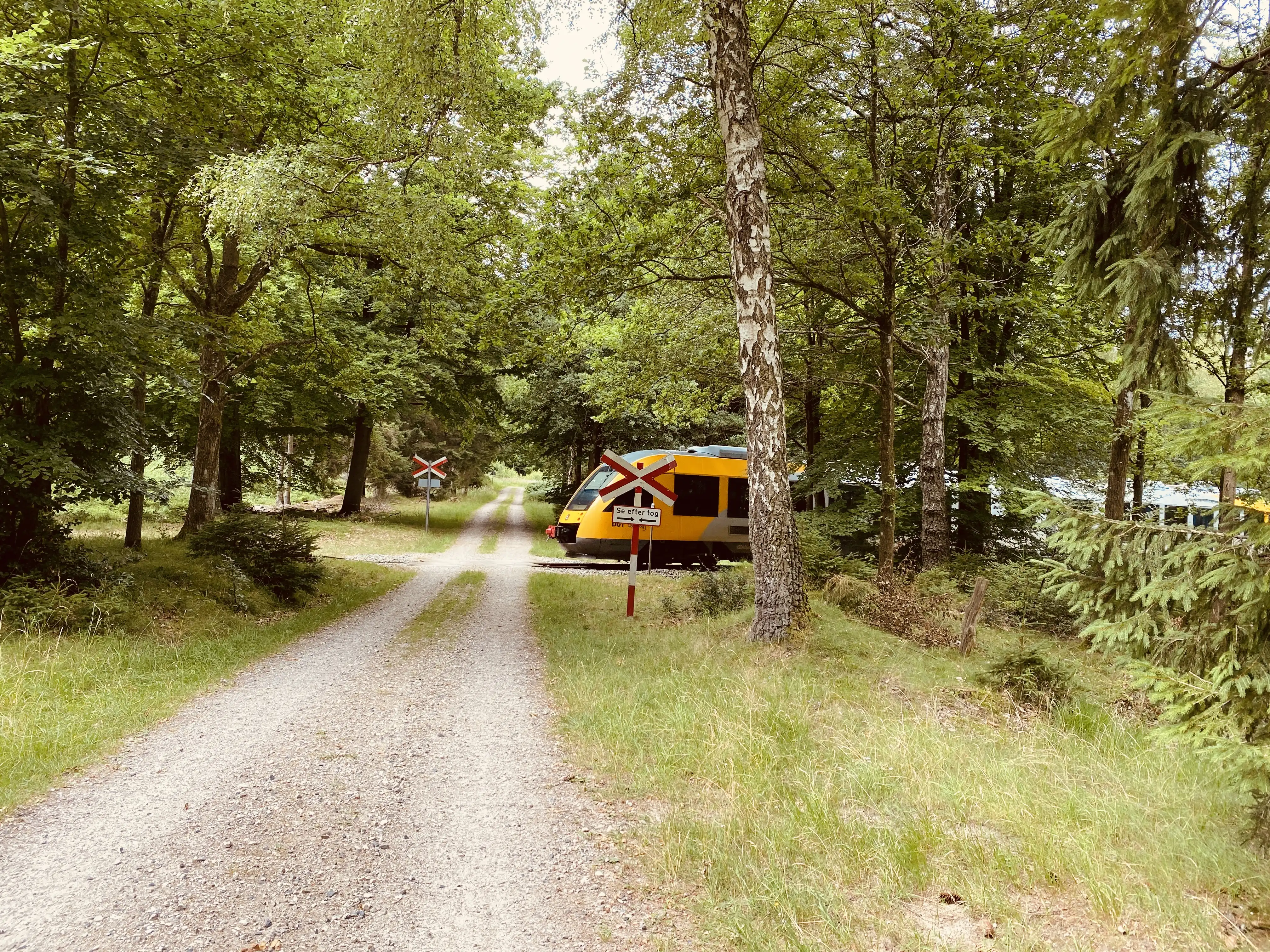 Billede af LT 118-218, tidligere LB 118-218 fotograferet ud for Storkevad Trinbræt med Sidespor. Billede af LT 118-218, tidligere LB 118-218 fotograferet ud for Storkevad Trinbræt med Sidespor.